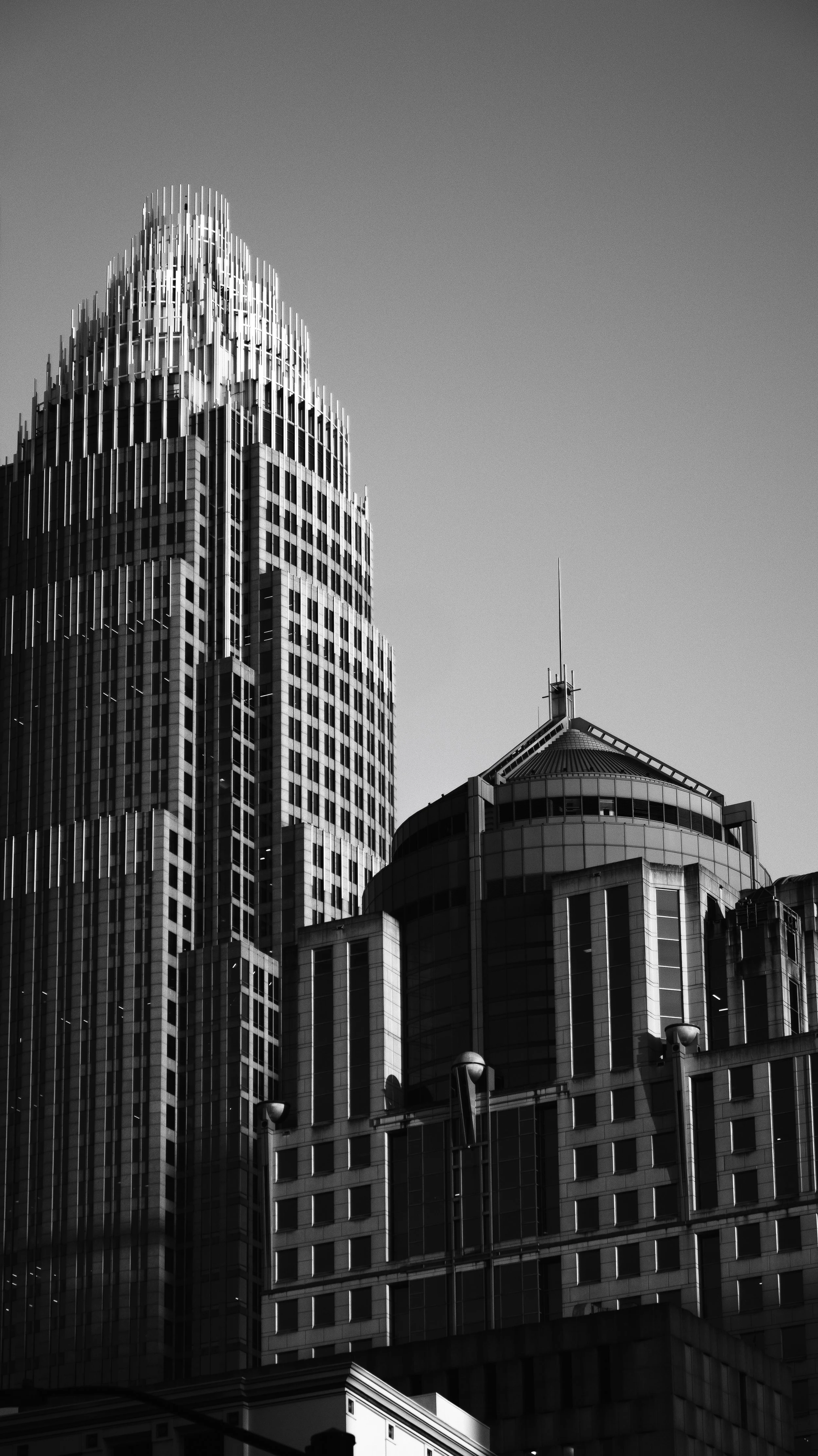 P1011189.jpg