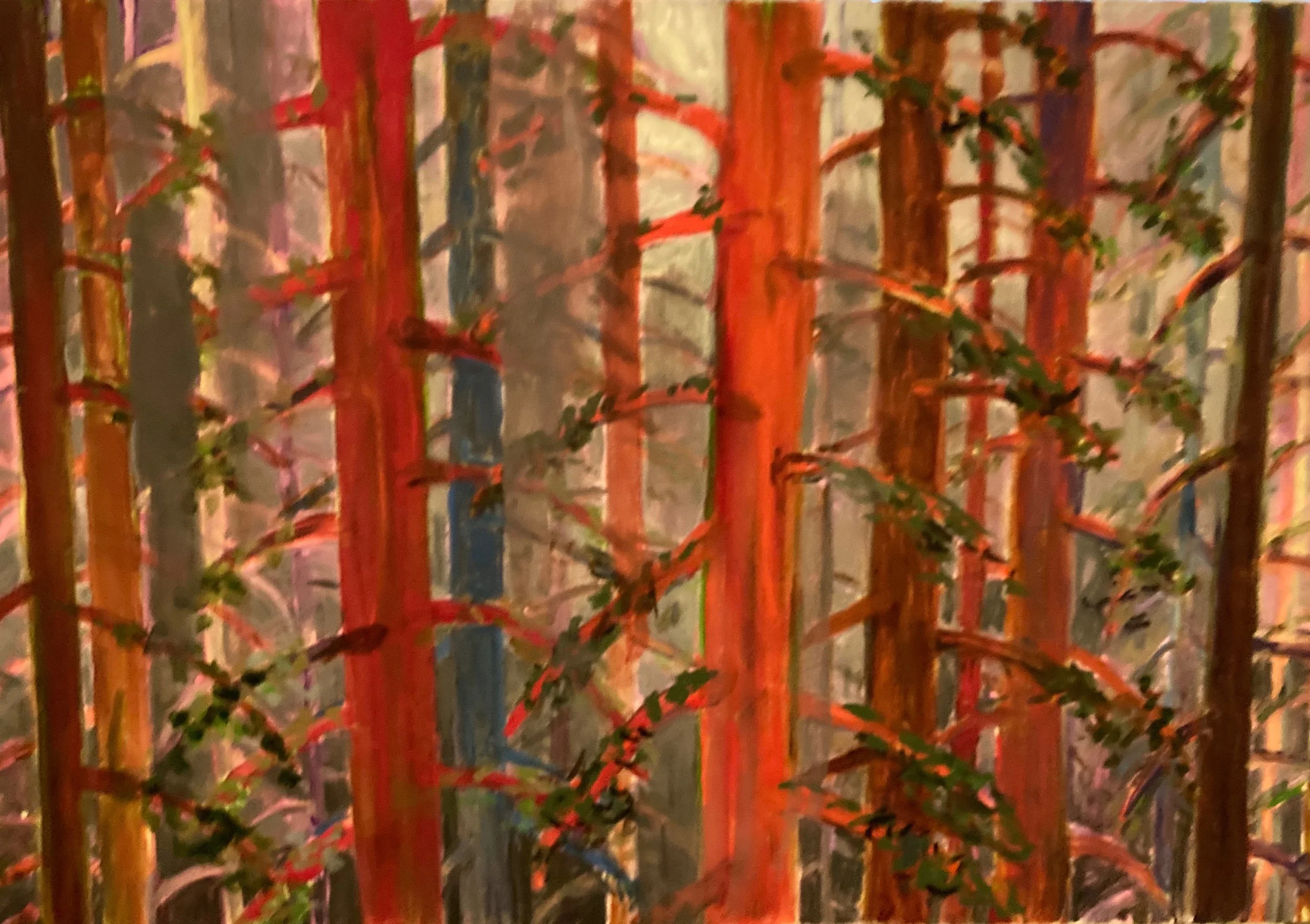 Redwoods and Smoke - Oil on canvas 3 x 2' 2018