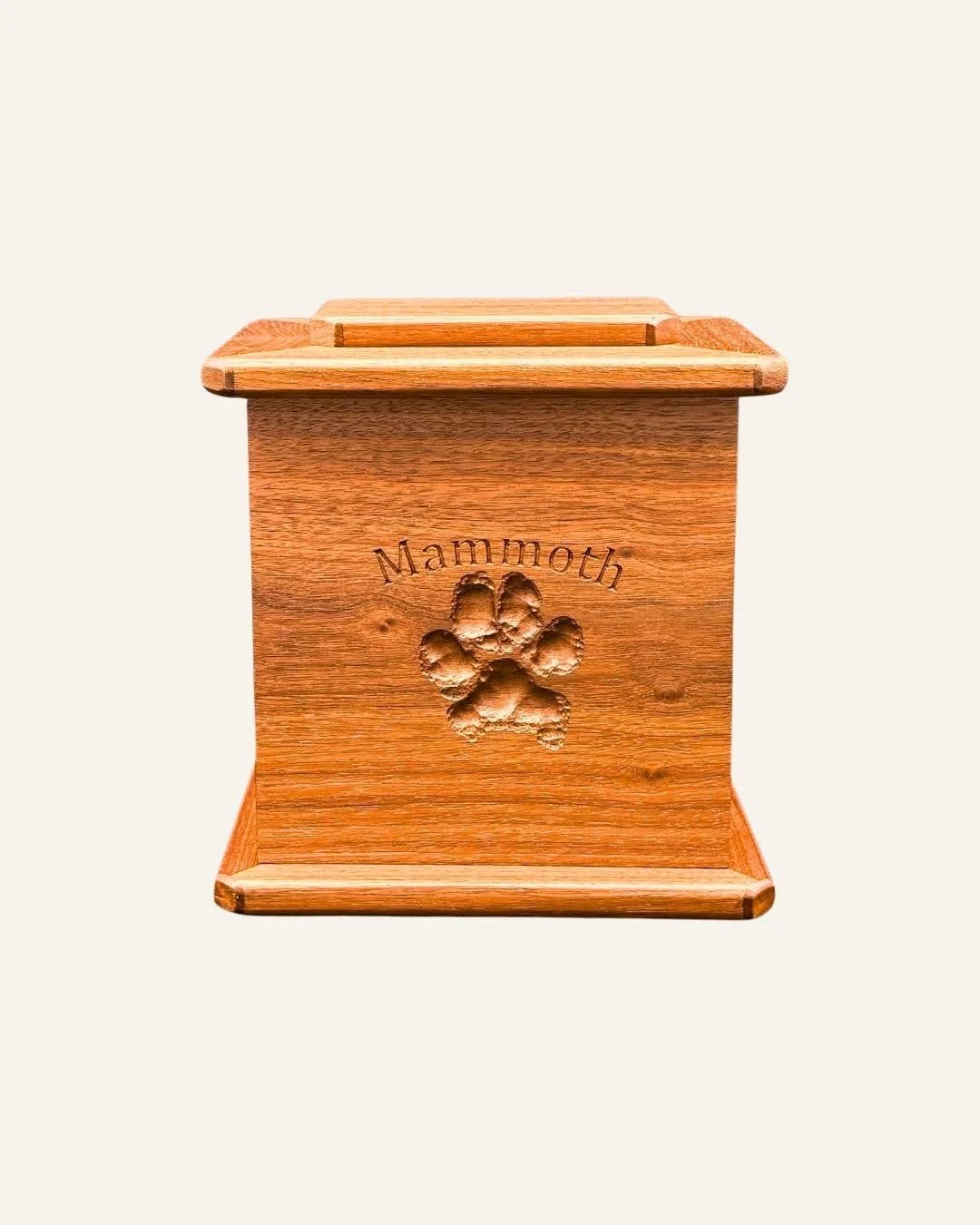 pet urn 4.JPG