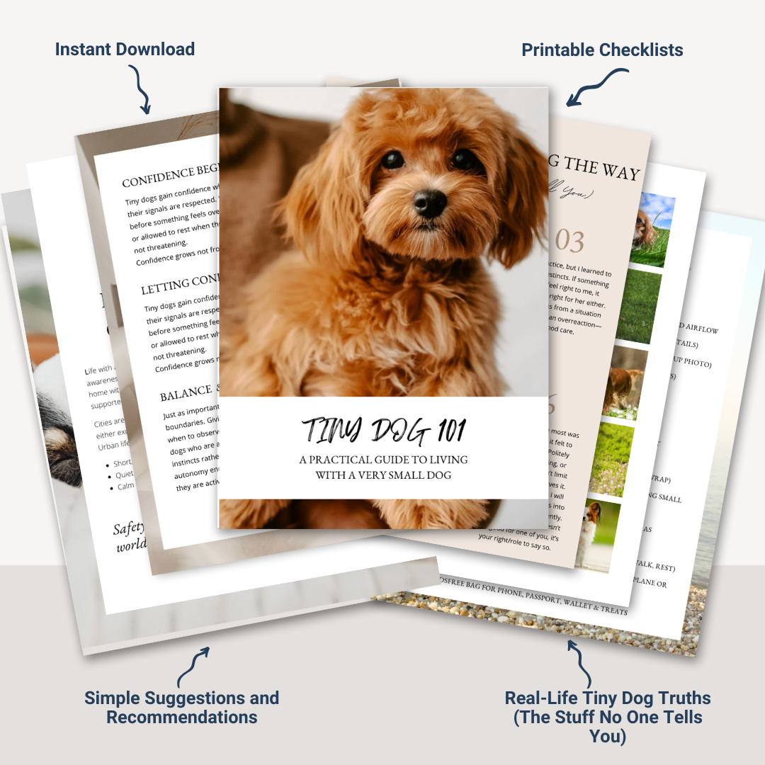 The Tiny Dog Guide