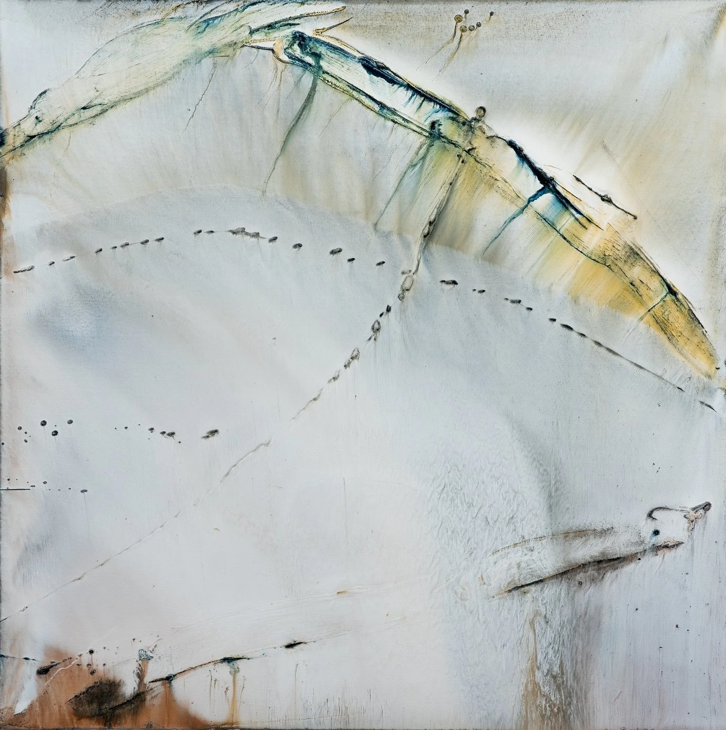 5556-36x36.JPG