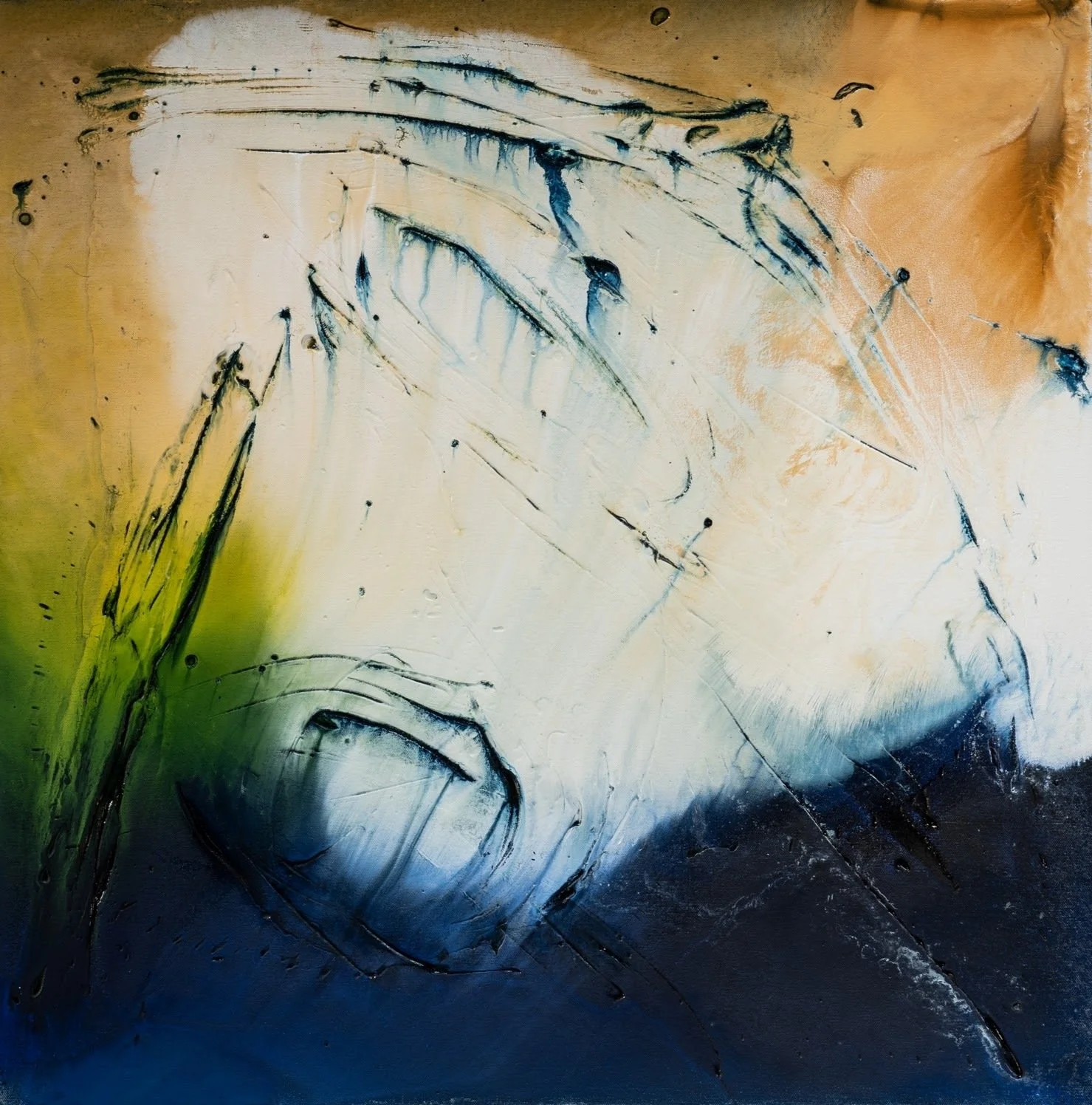 DSC5802-30x30.jpeg