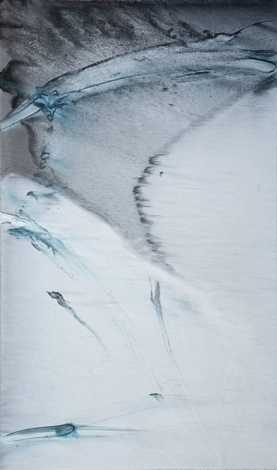 5128_36x60.JPG