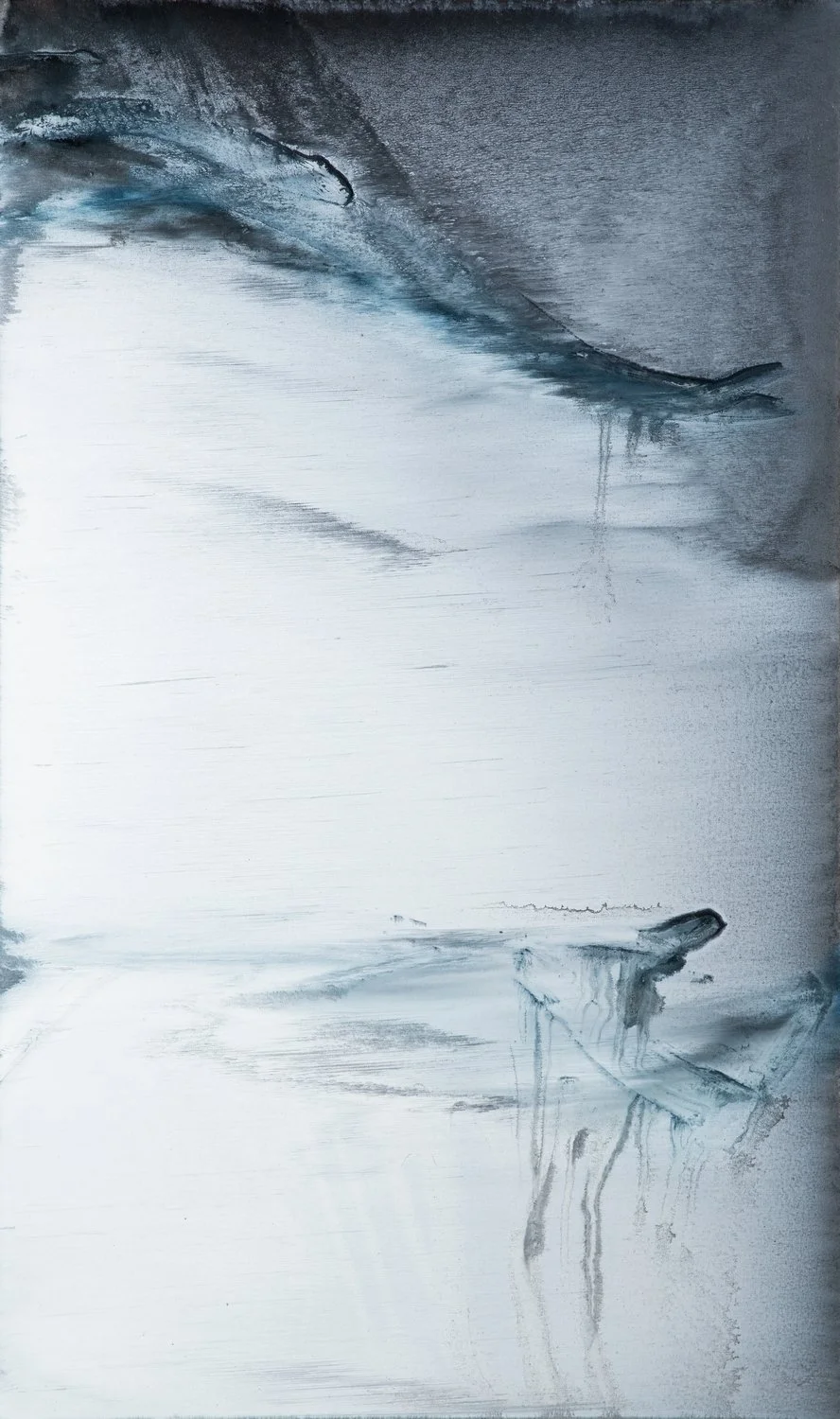 5120_36x60.JPG