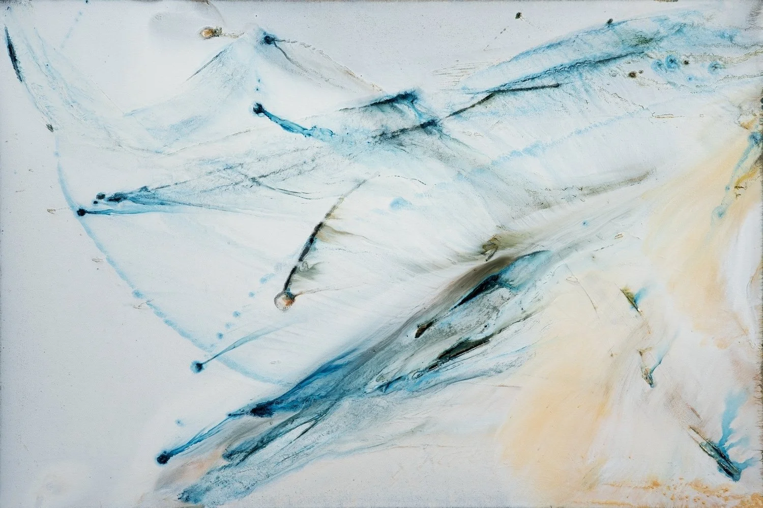 5575-24x36.JPG