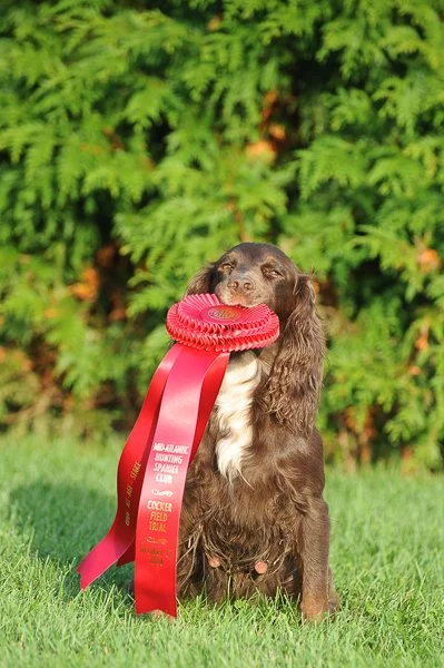 Pocotaligo's Easter Sunday Rise 2nd Place MAHSC 2014 - Photo Claire Podlaseck.jpg