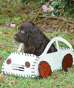 pupcar_web.jpg