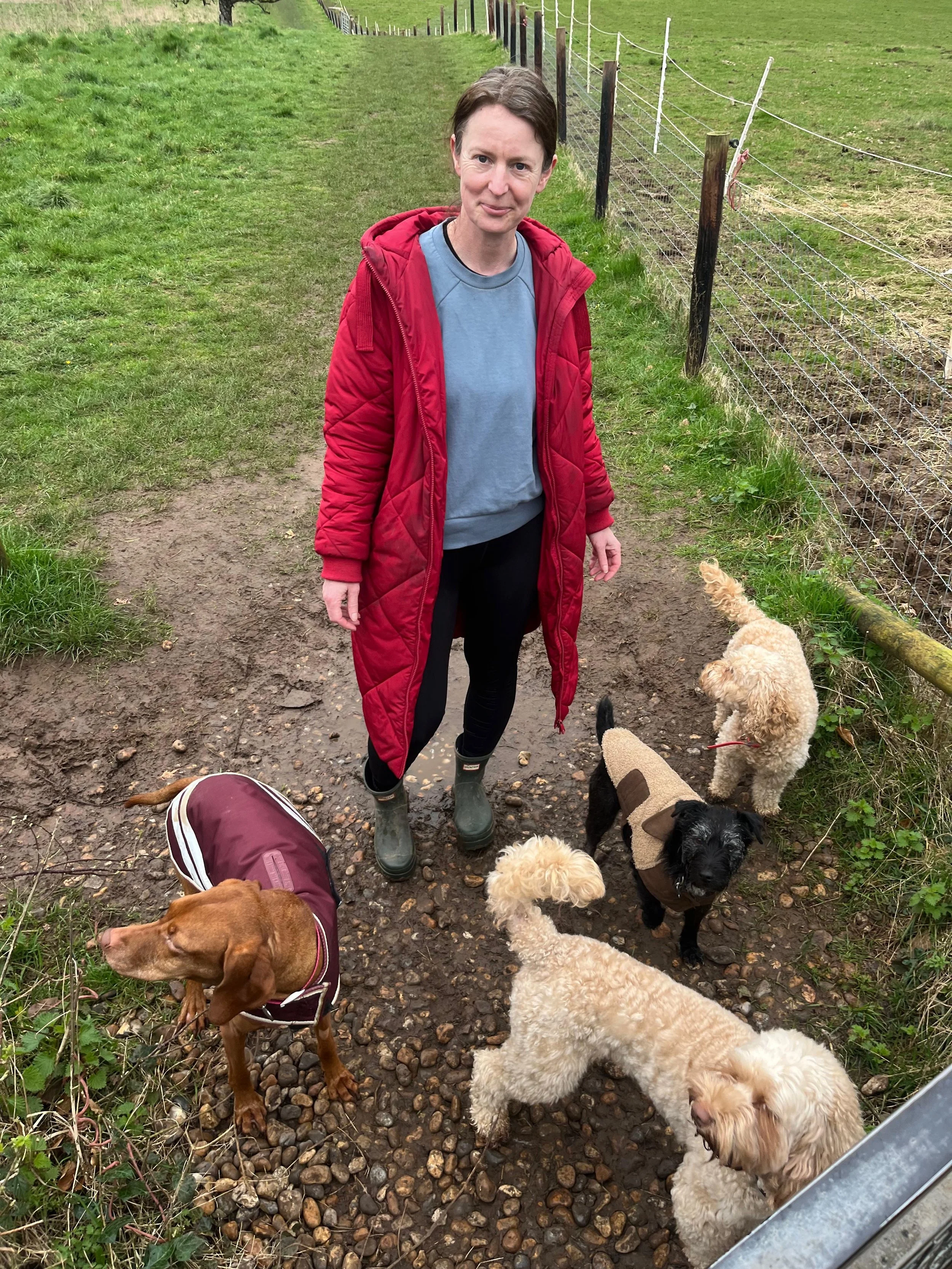 Dog Walks