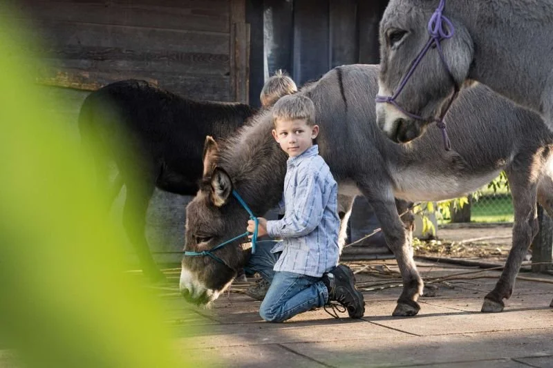 Kleiner Junge hält kniend liebevoll einen Esel