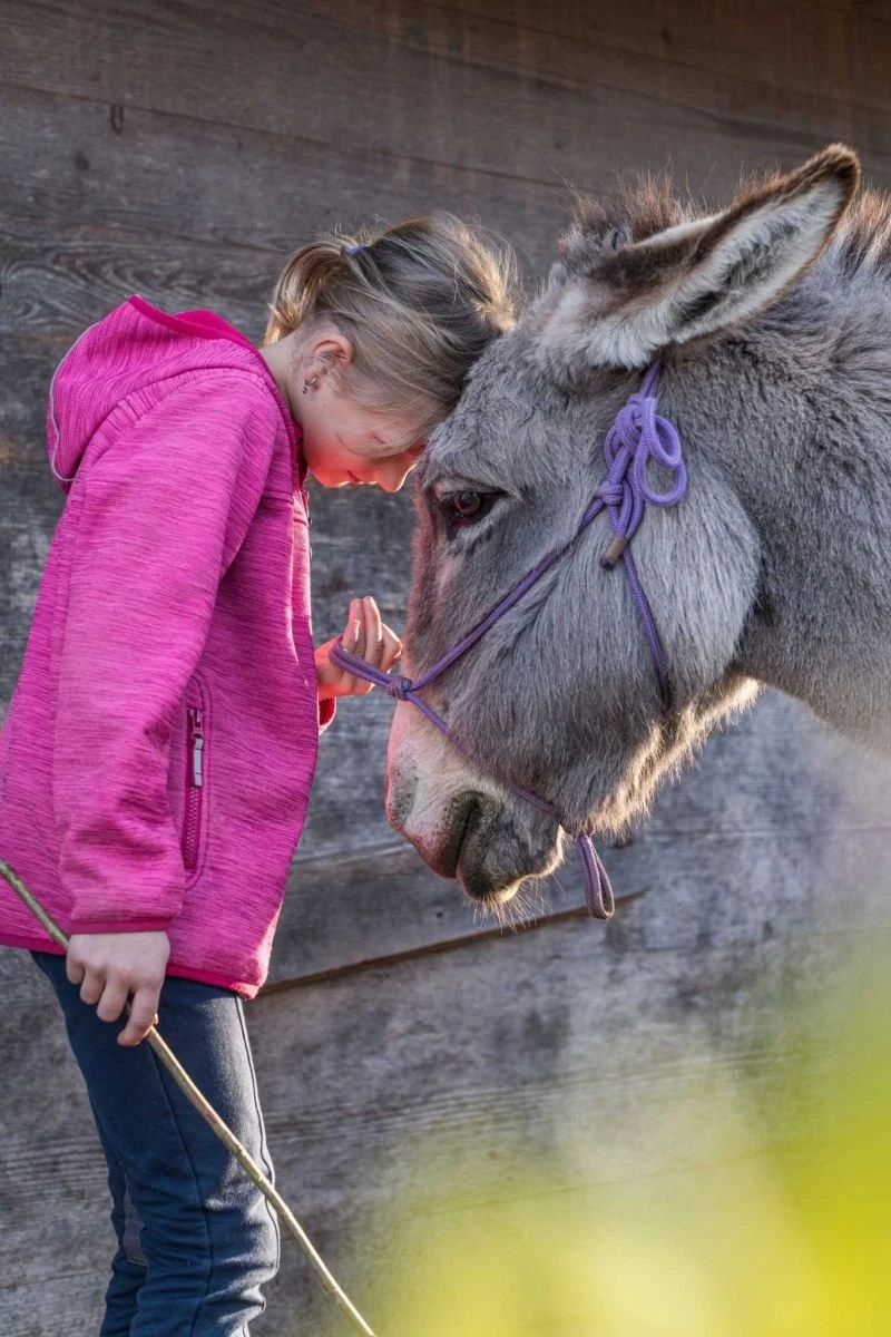 Mädchen liebkost Esel