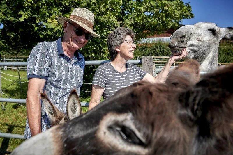 Wolfang und Edith Müller bei streicheln ihre Esel