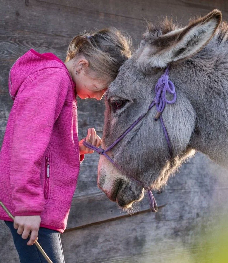 Junges Mädchen hält liebevoll Kopf an Esel