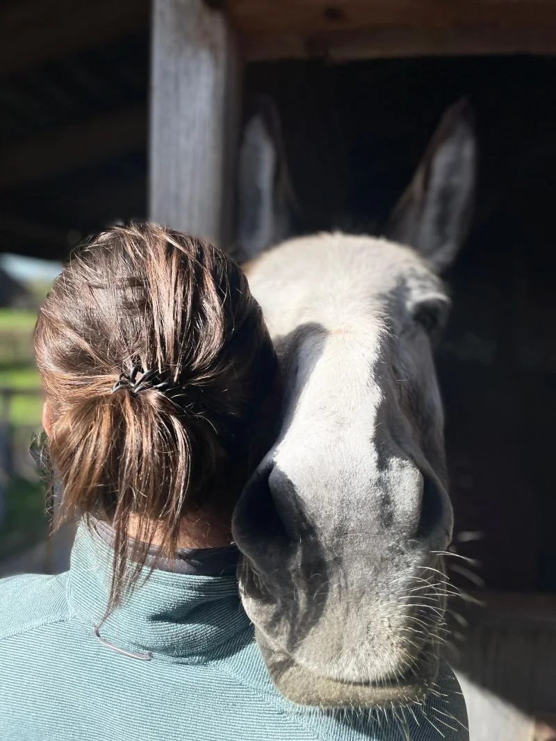 Esel hält Kopf auf Schulter von Frau