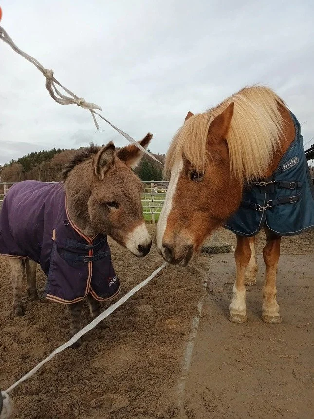 Benj mit seiner Nachbarin