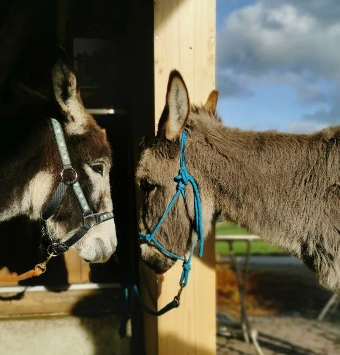 Jamayca (mit Freundin Carina)