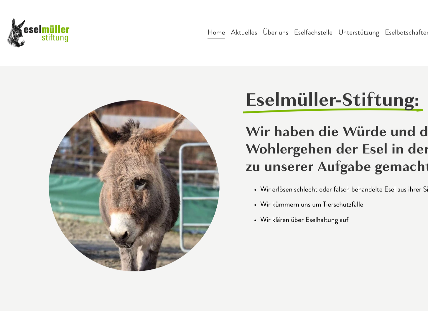 Screenshot Website