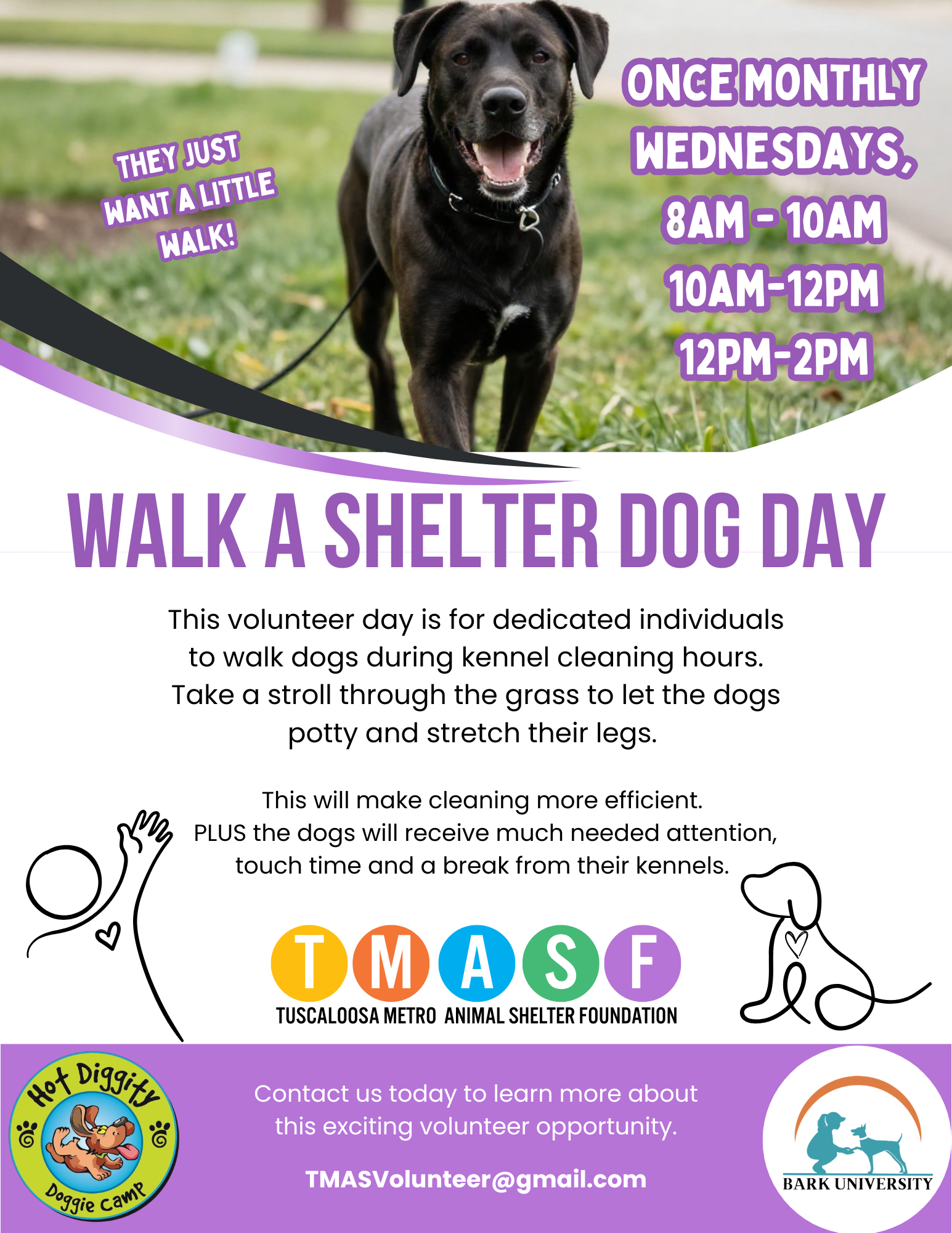 Flyer for 'Walk a Shelter Dog Day' event featuring a black dog with a happy expression. Text details event schedule and purpose, including times on Wednesdays and contact information. Logos of Hot Diggity Doggie Camp, TUSCALOOSA METRO ANIMAL SHELTER FOUNDATION, and Bark University are included.