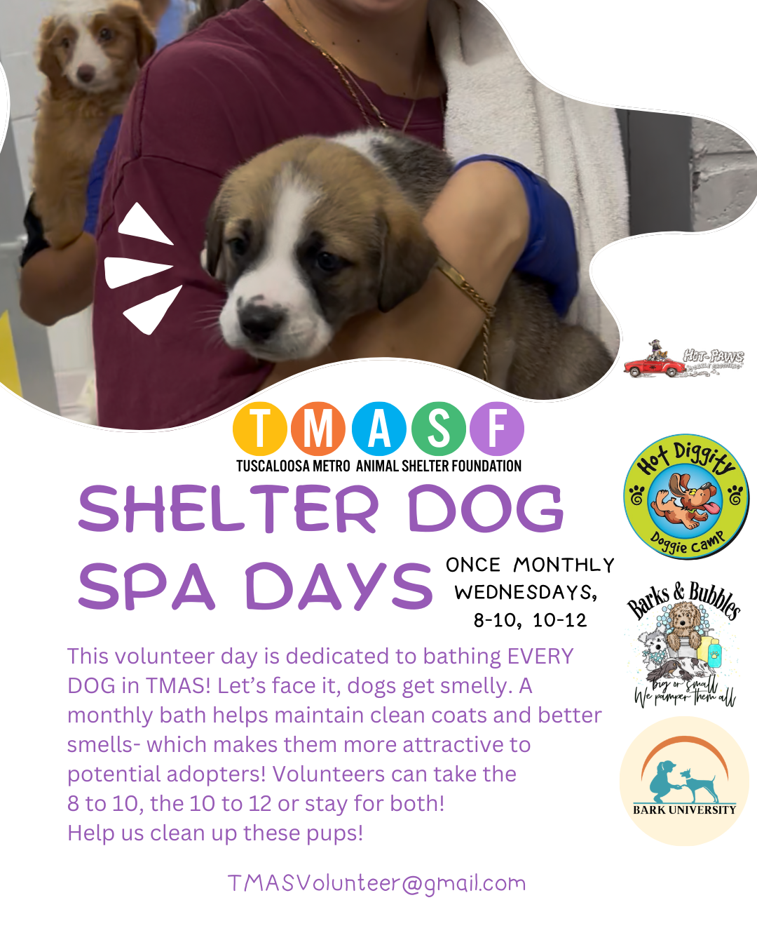 A person holding a puppy with a woman in the background holding another puppy in a pet care event. The flyer promotes 'Shelter Dog Spa Days' organized by Tuscaloosa Metro Animal Shelter Foundation, with details about donation and volunteer opportunities.