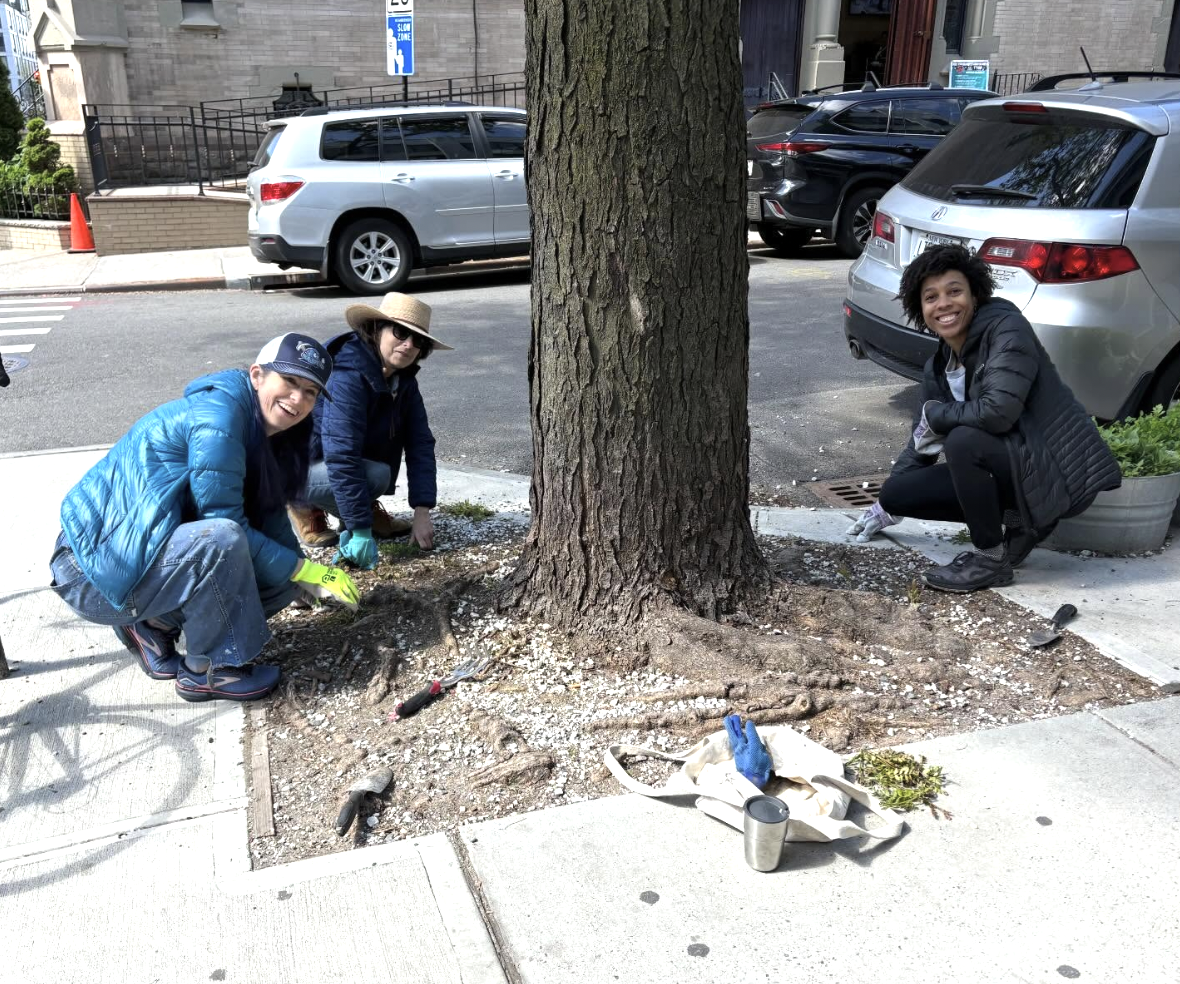 Boerum Hill Green Team