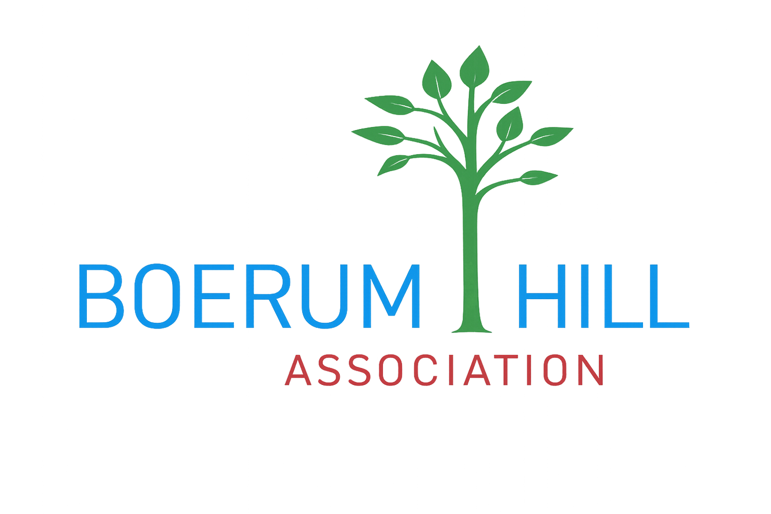 Boerum Hill Association