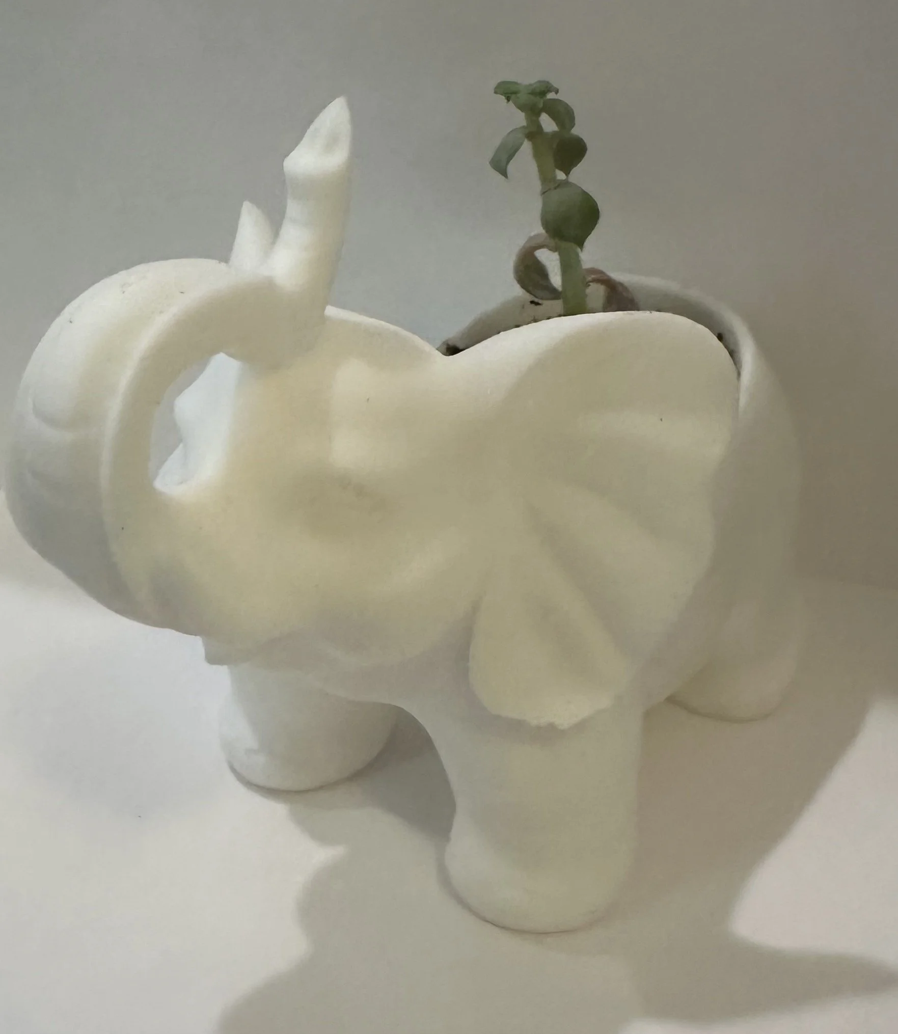 Cute Elephant Planter
