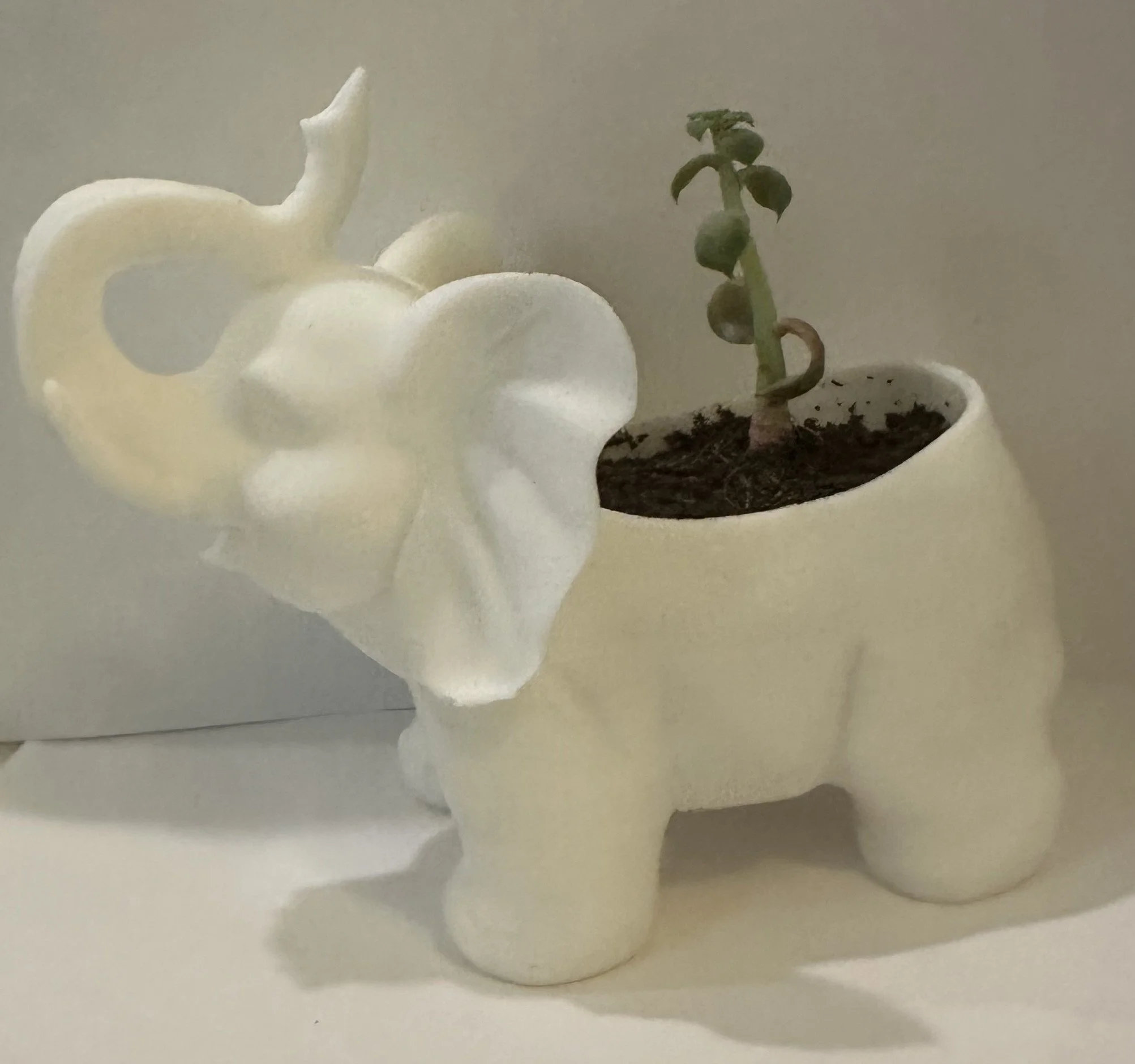 IMG_2151 - Copy.jpeg