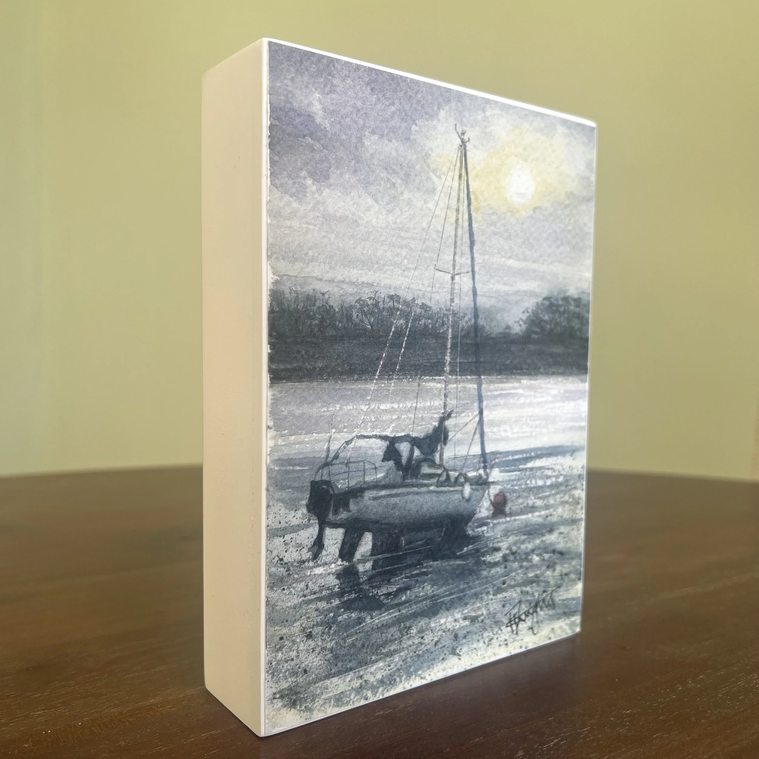 Low Tide at Topsham - side angle.jpg