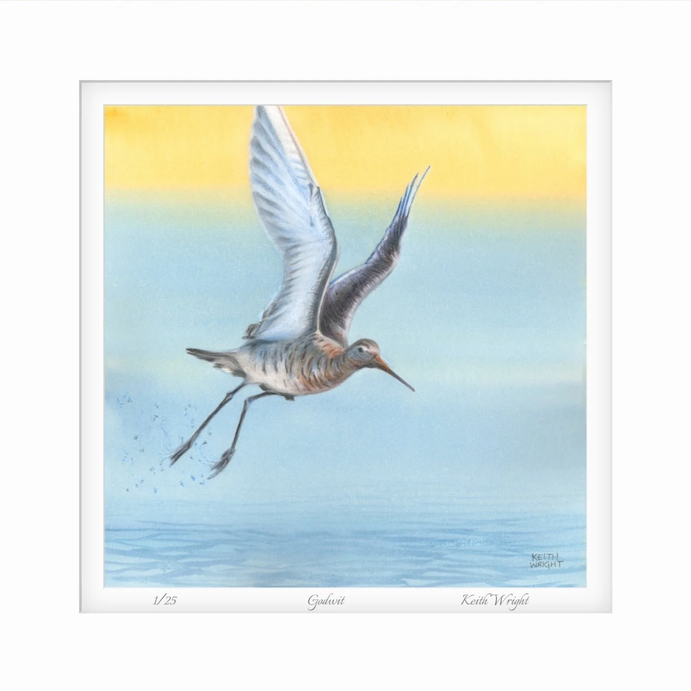 Godwit Mounted Print Close Up.jpg