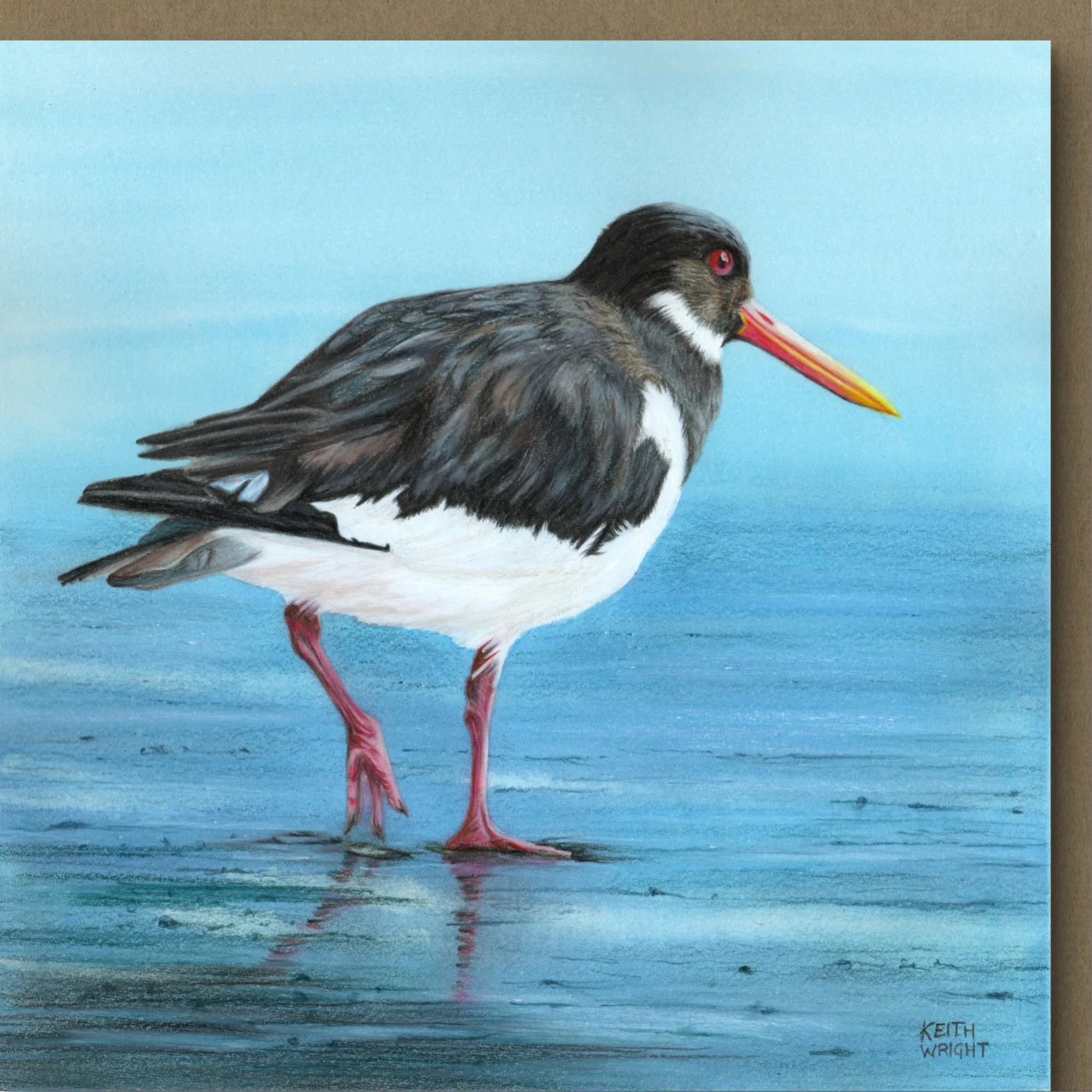 Oystercatcher Card Close Up.jpg