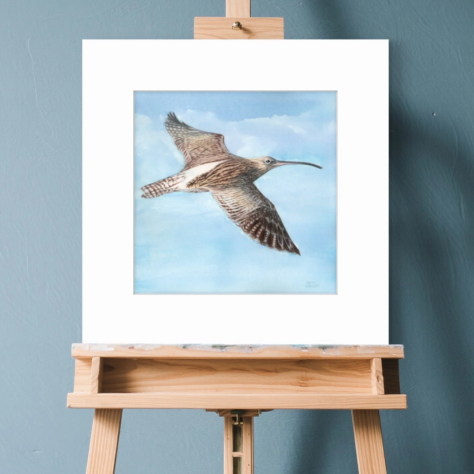 Curlew, Original Painting