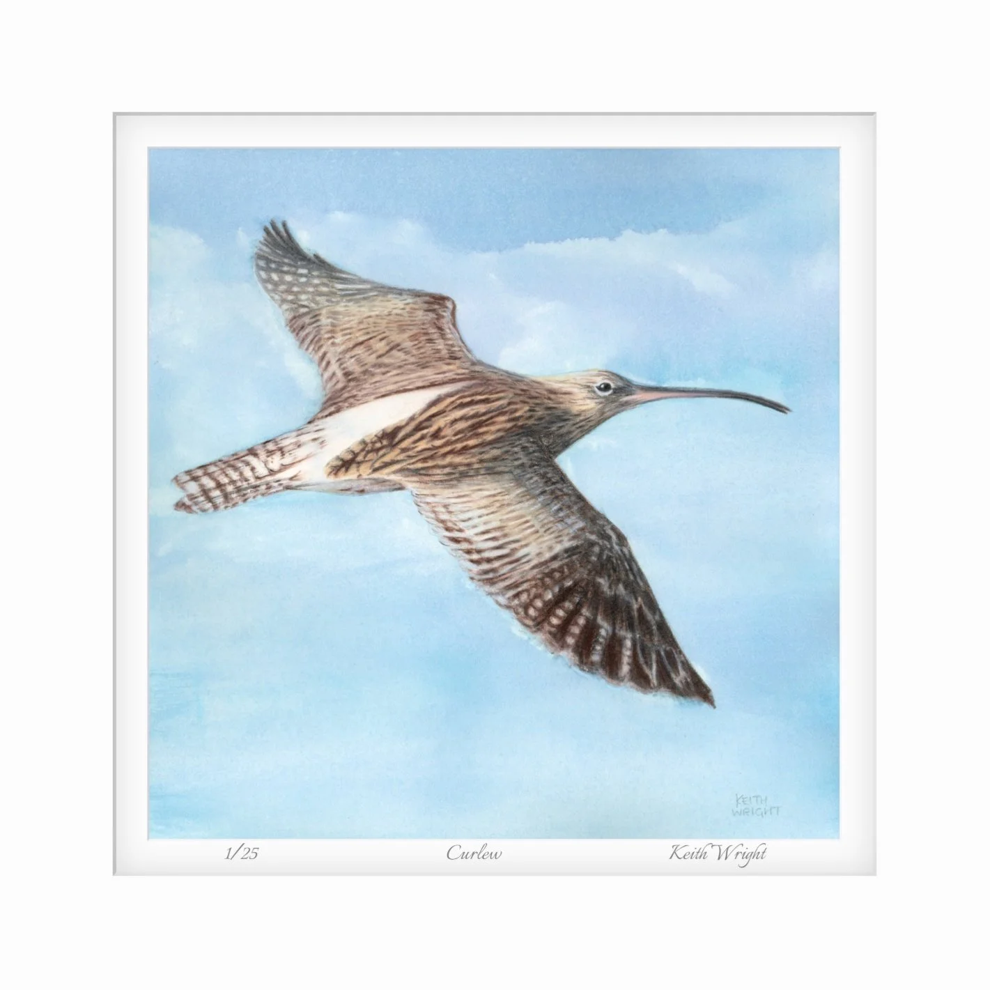 Curlew Mounted Print Close Up.jpg