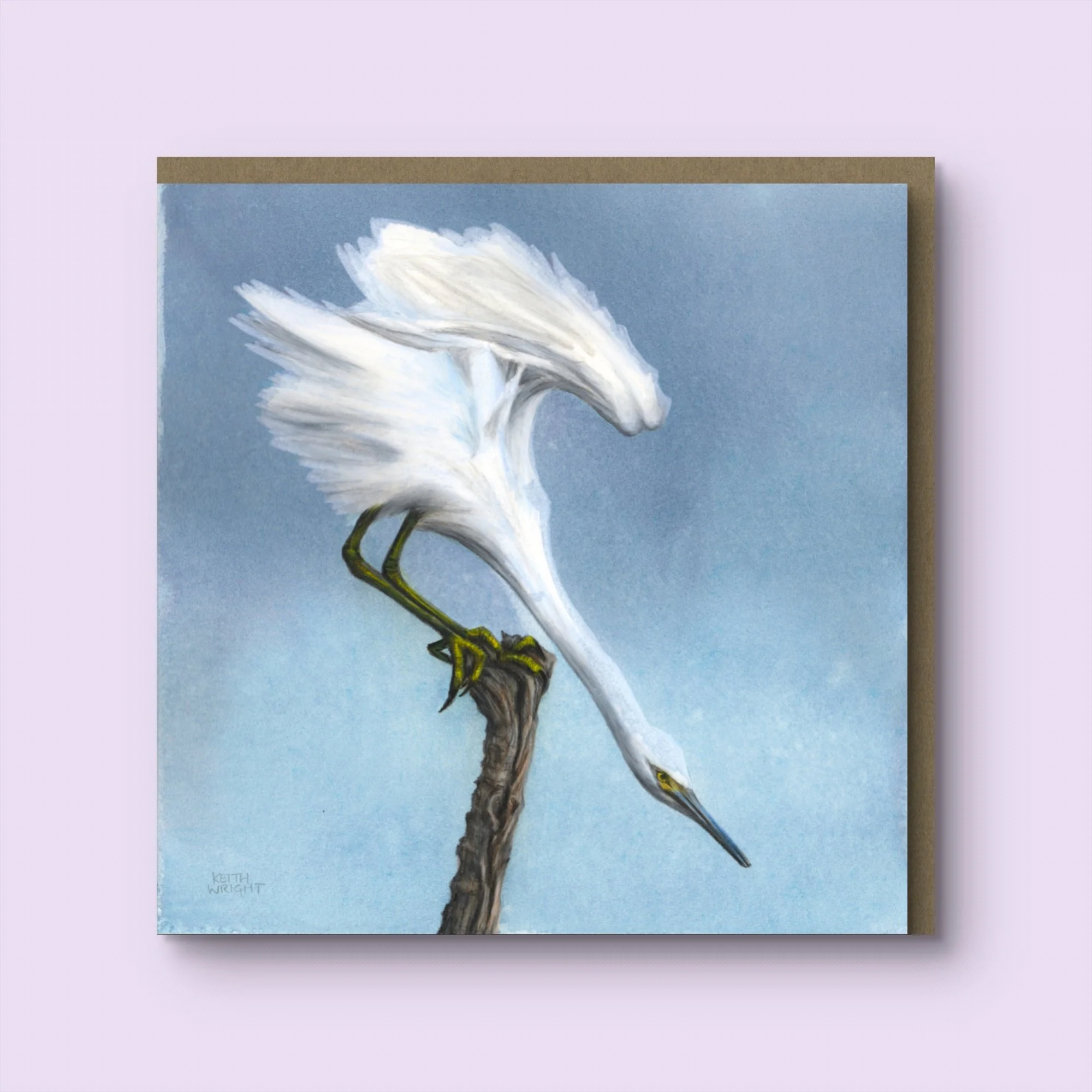 Little Egret Greetings Card & Envelope.jpg