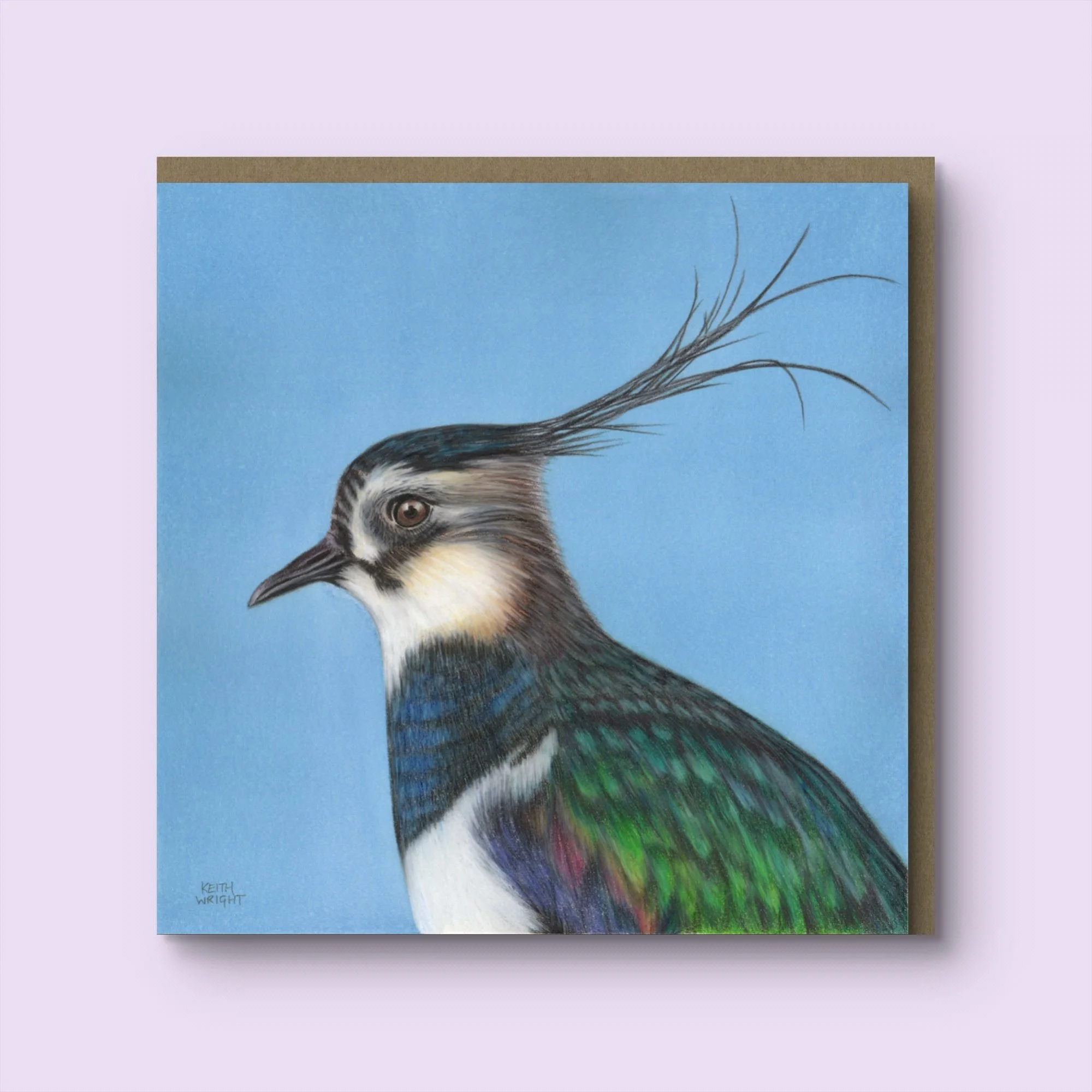 Lapwing Greetings Card & Envelope.jpg