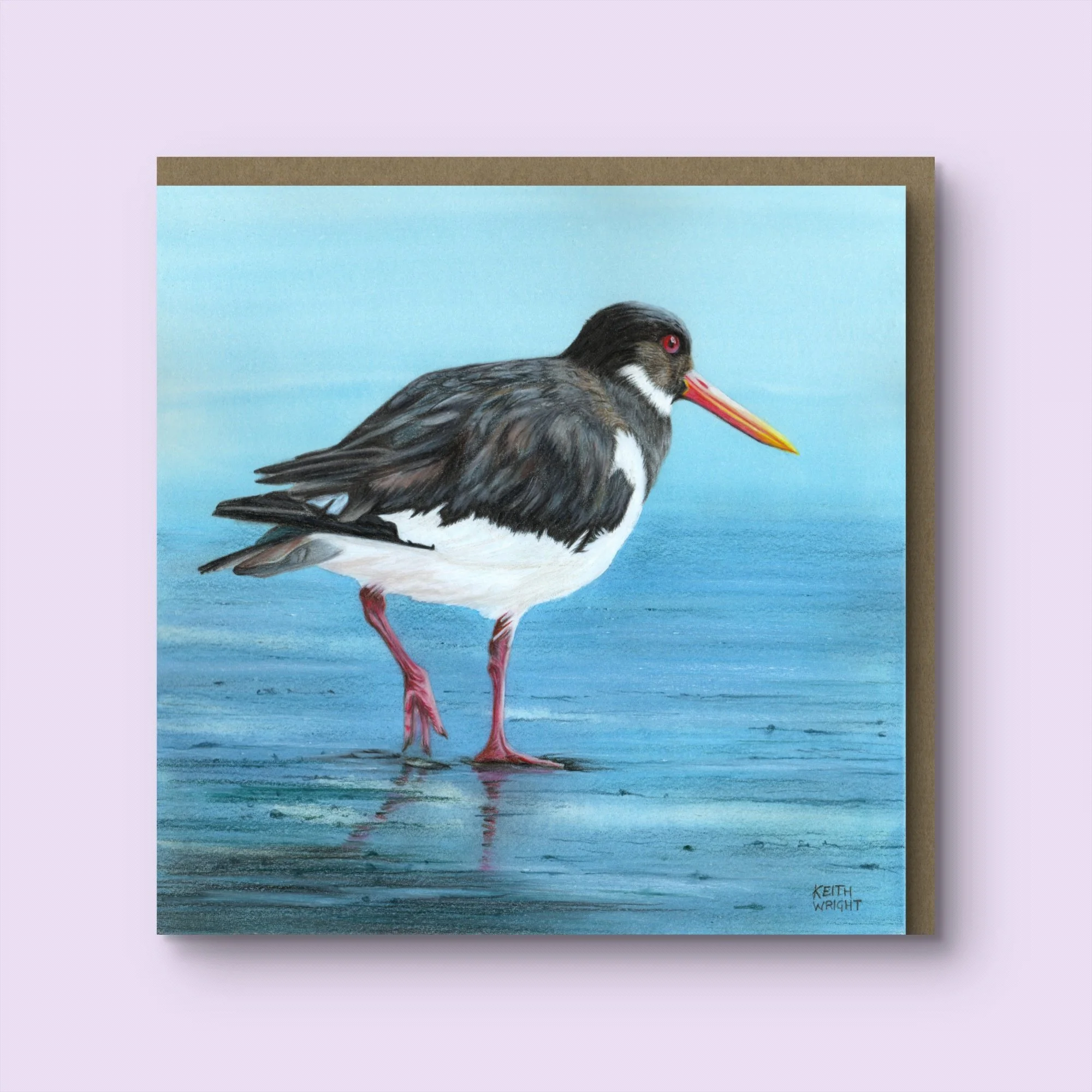 Oystercatcher Greetings Card & Envelope.jpg