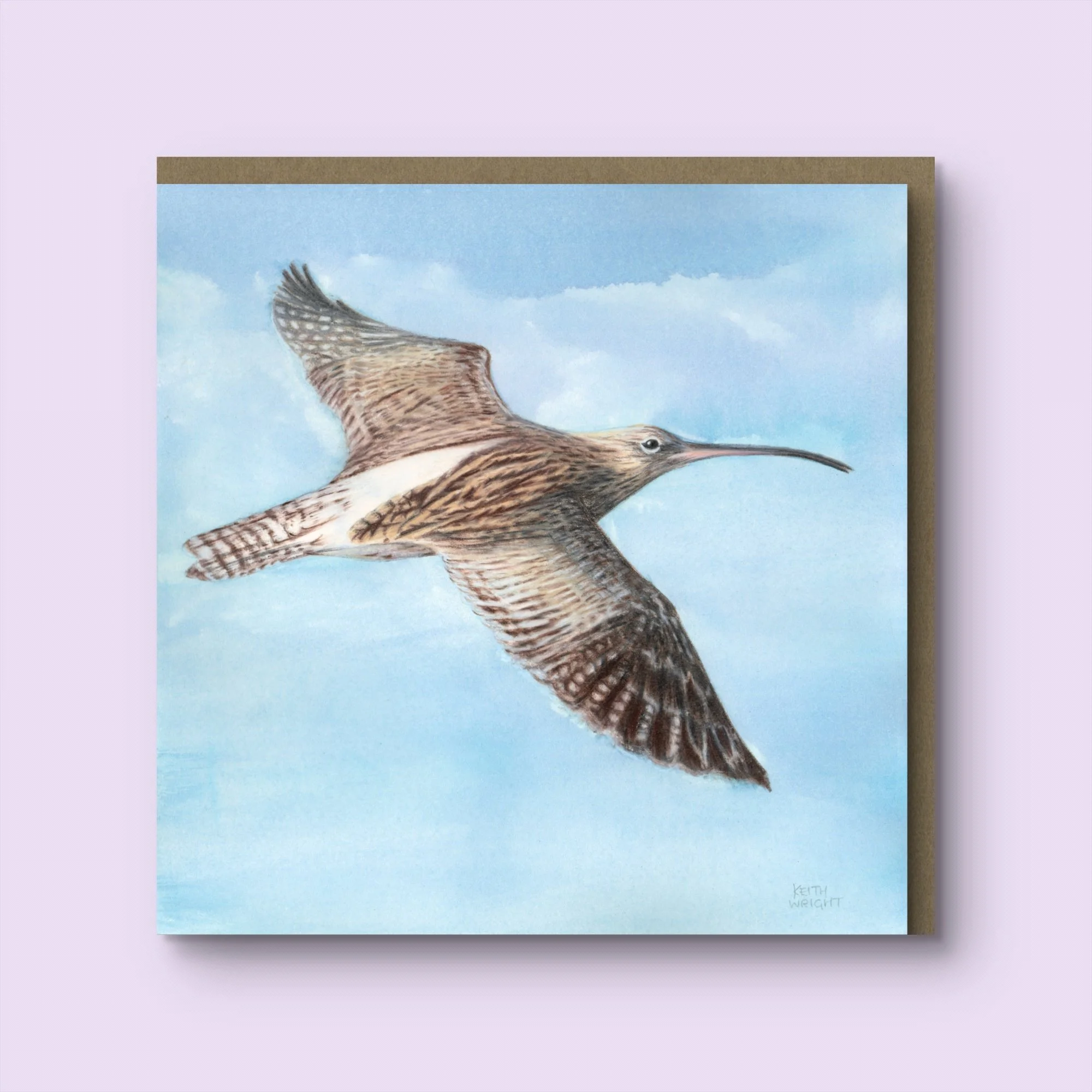 Curlew, Greetings Card