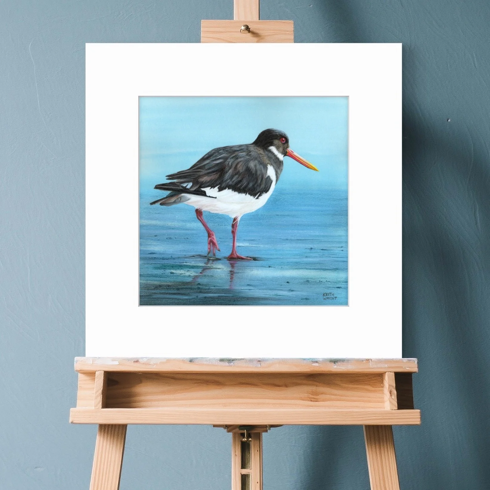 Oystercatcher, Original Painting