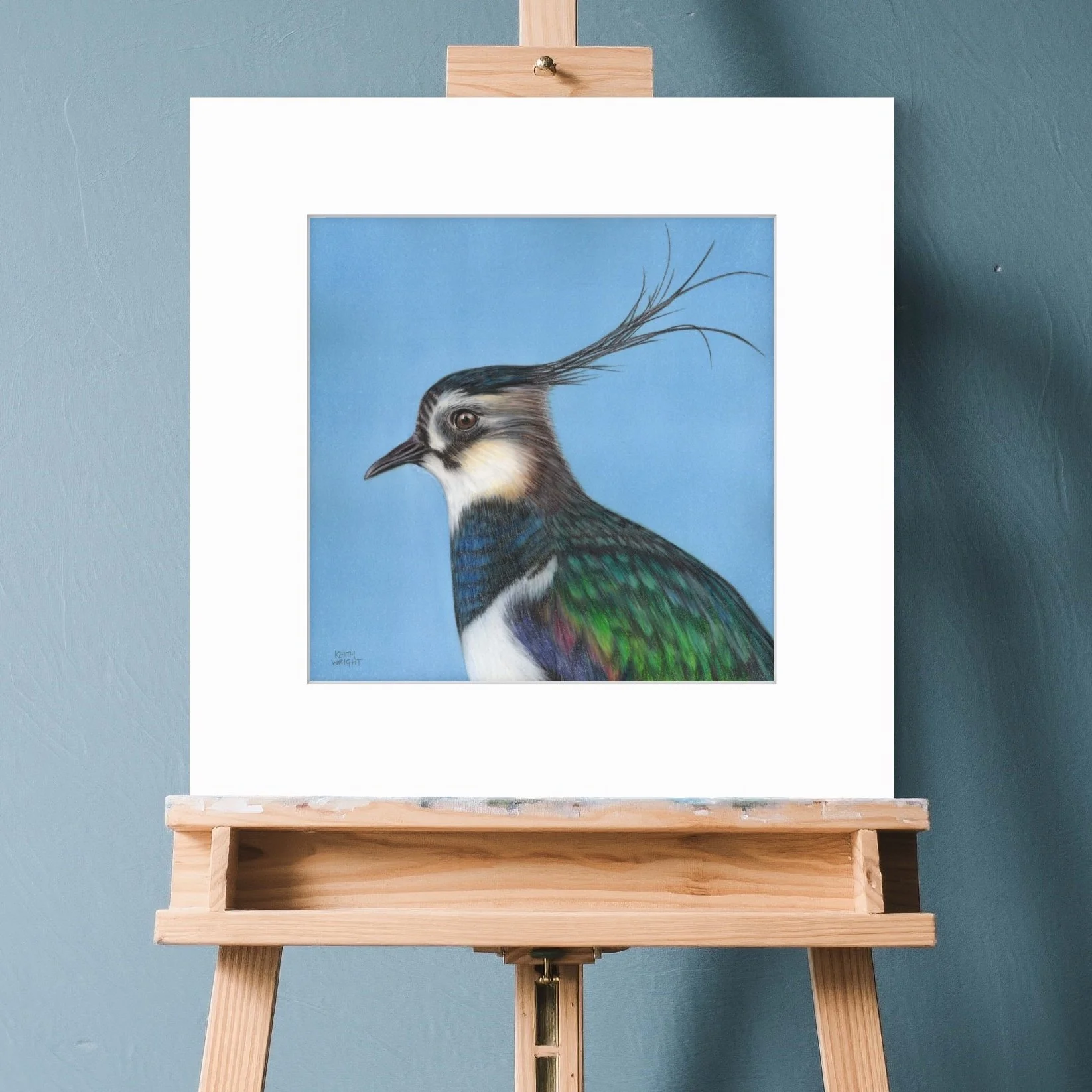 Lapwing, Original Painting
