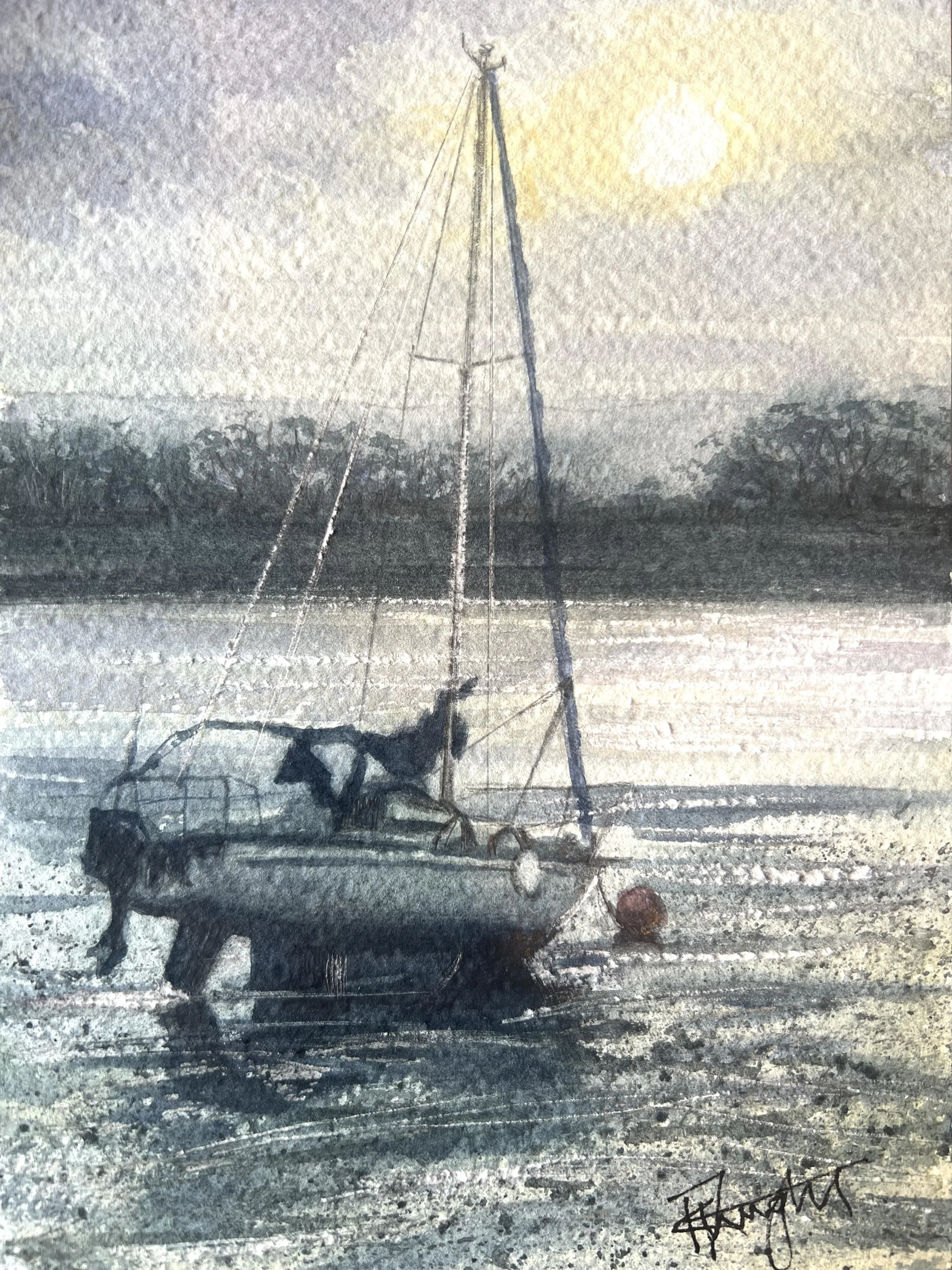 Low Tide at Topsham face on.jpg