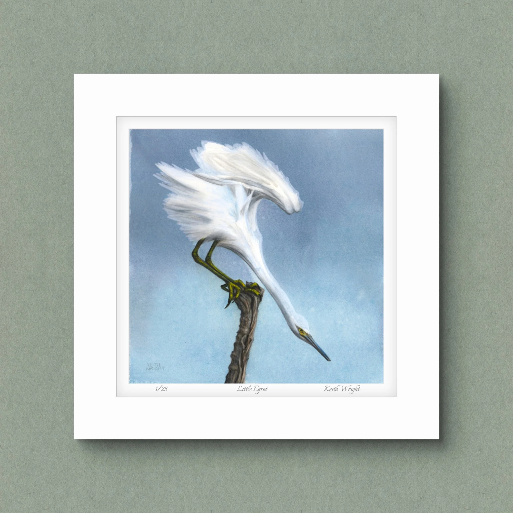 Little Egret, Limited Edition Print