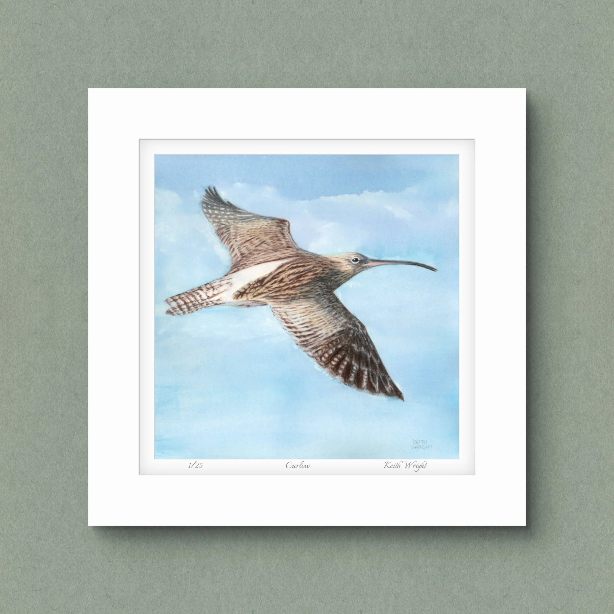 Curlew, Limited Edition Print