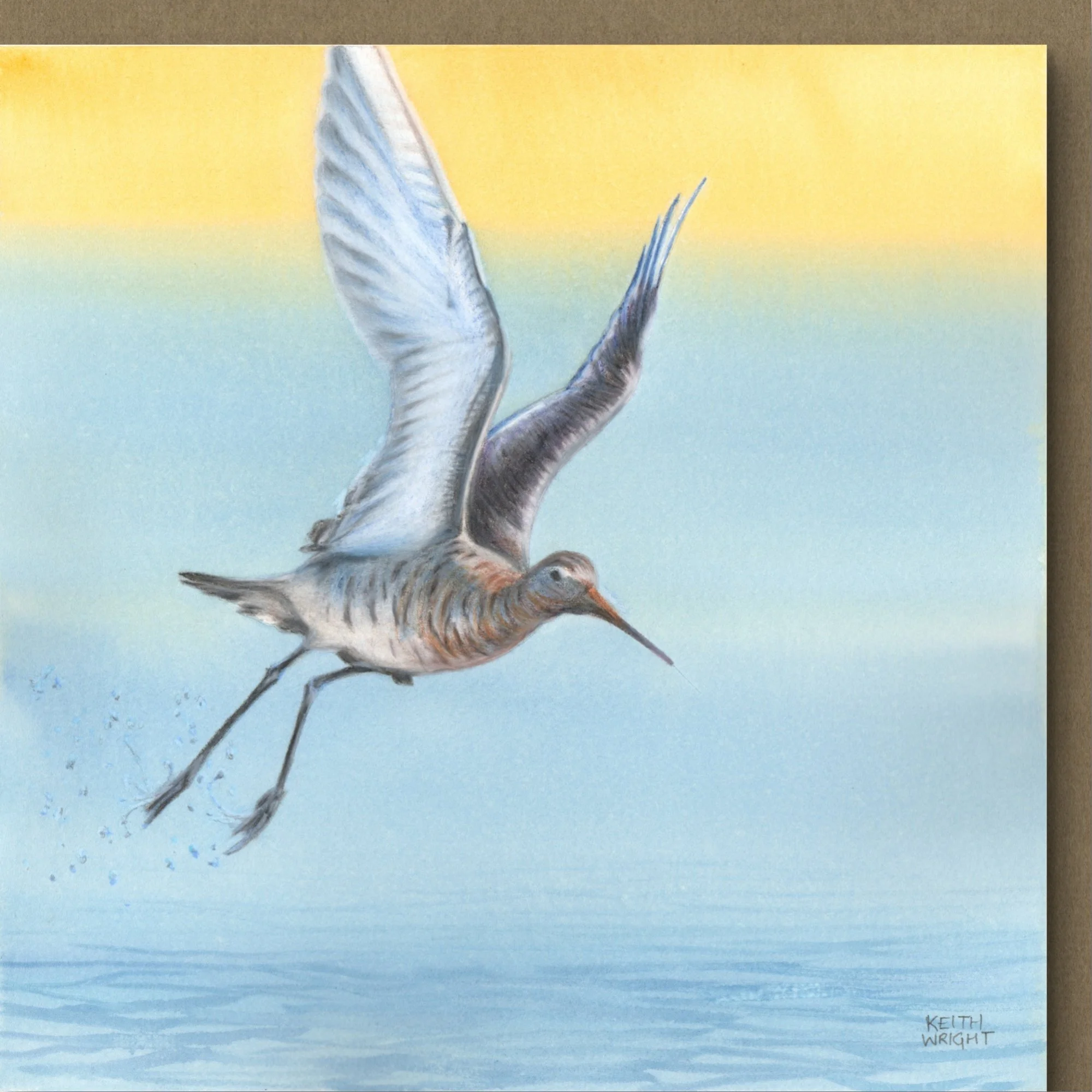 Godwit Card Close Up.jpg