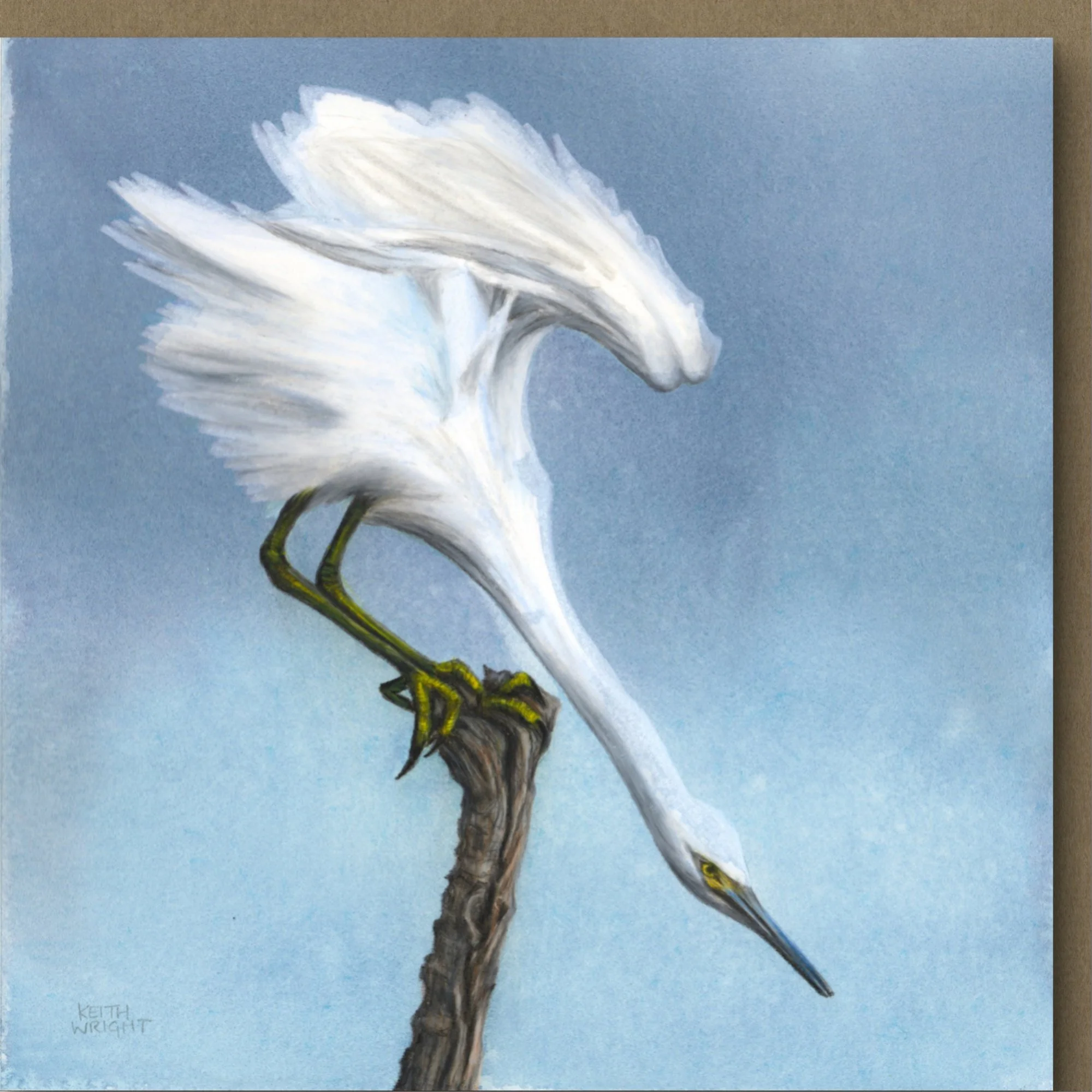 Little Egret Card Close Up.jpg