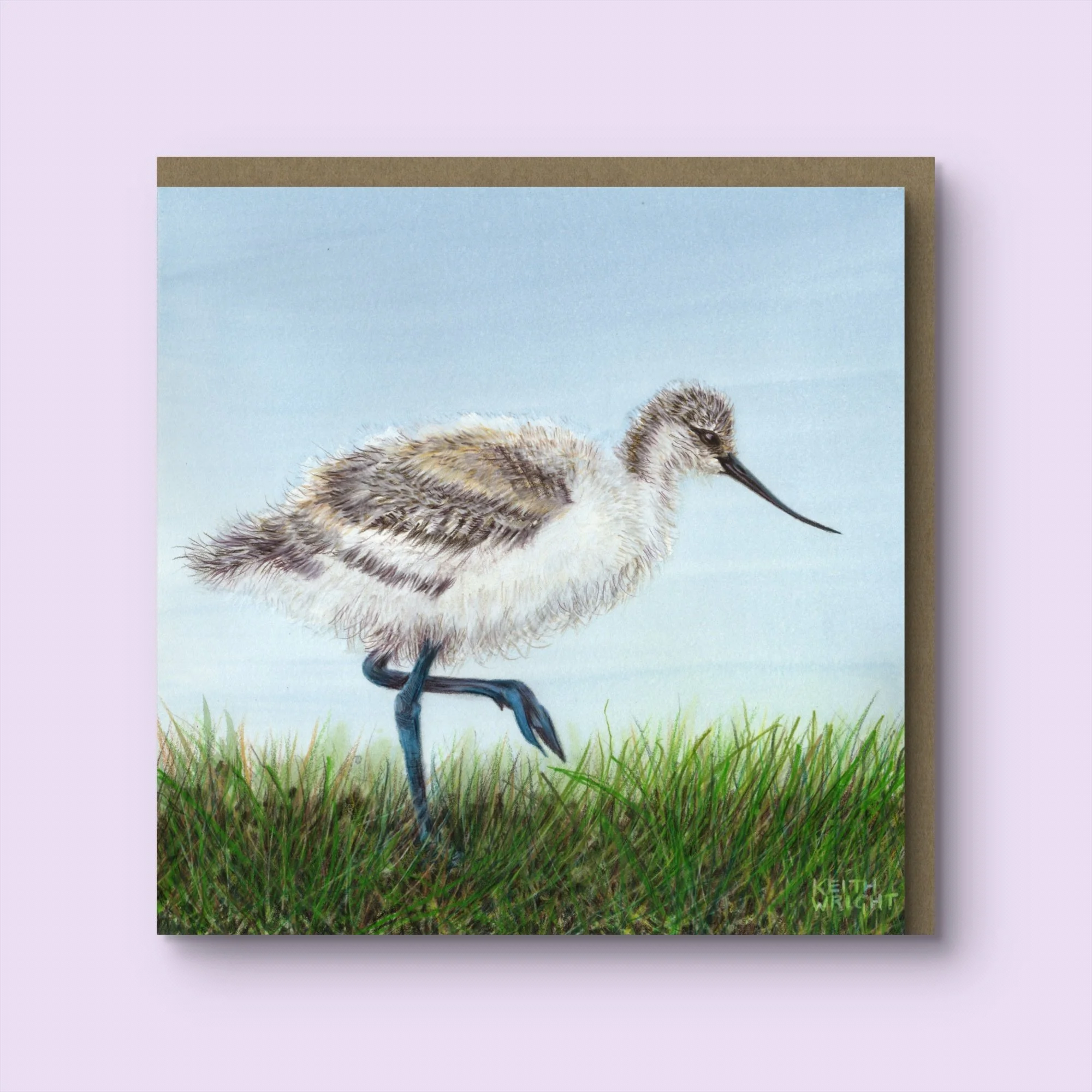 Avocet Chick Greetings Card & Envelope.jpg
