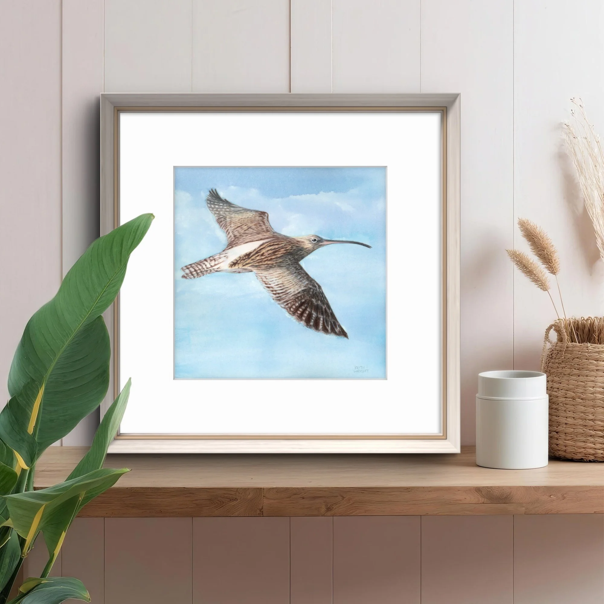 Curlew Original on Shelf.jpg