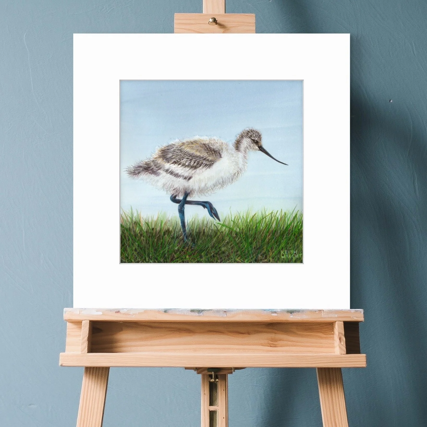 Avocet Chick, Original Painting