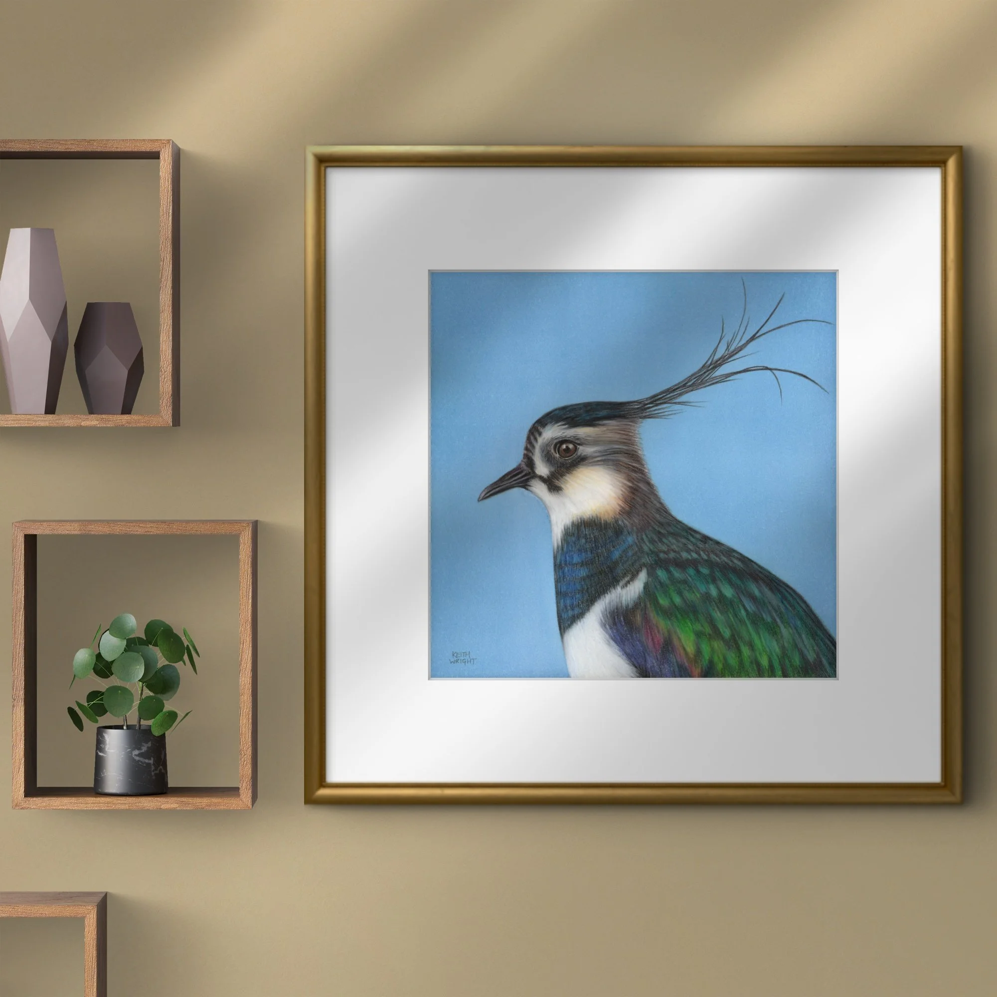 Lapwing Original Hung Next to Shelves.jpg