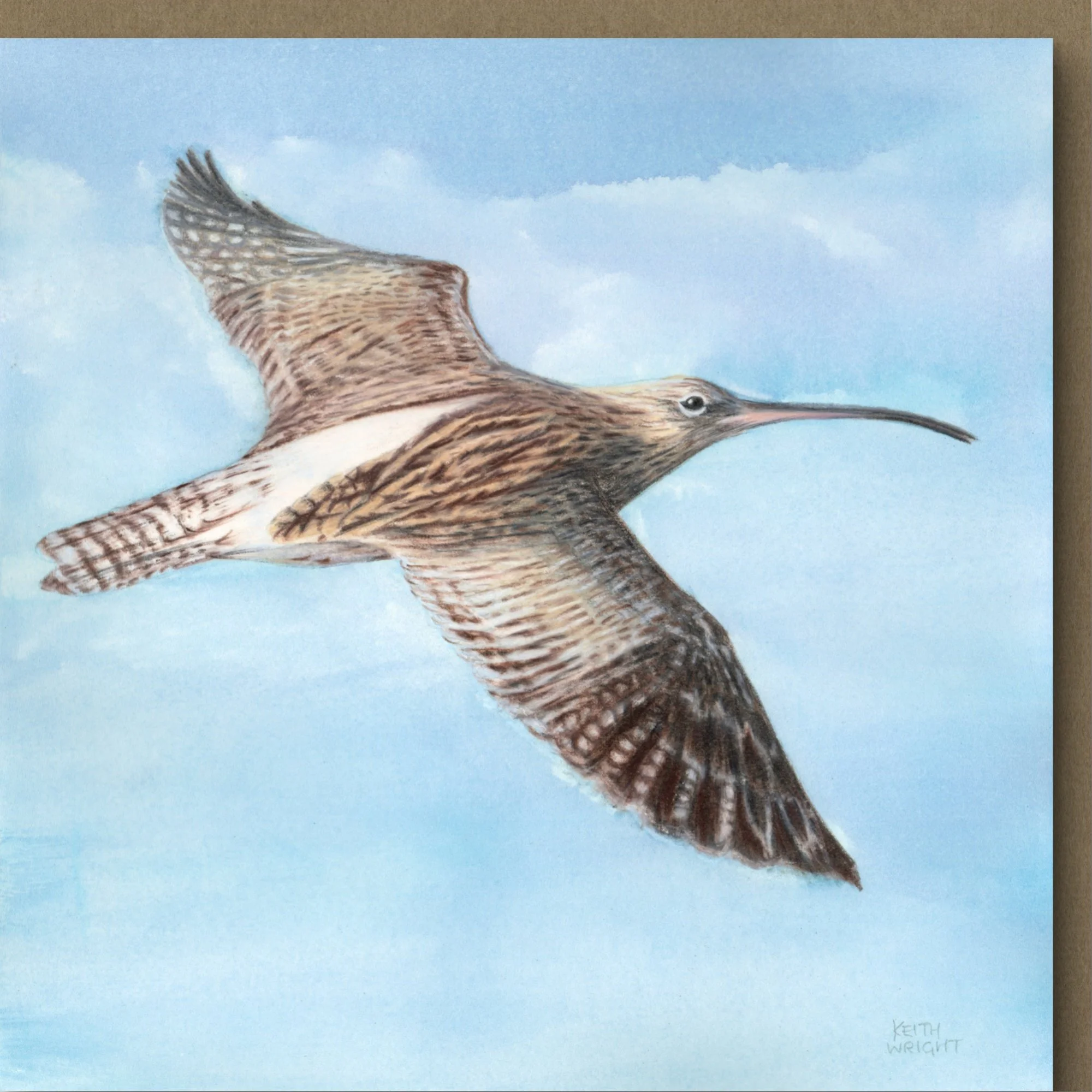 Curlew Card Close Up.jpg