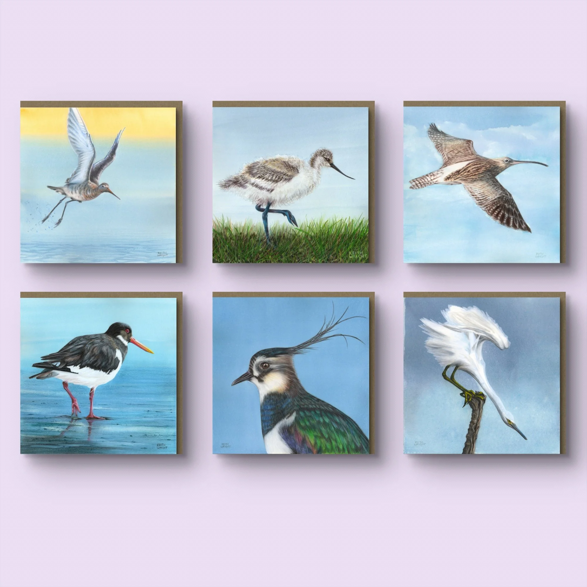 Exe Estuary Birds, Set of 6 Greetings Cards