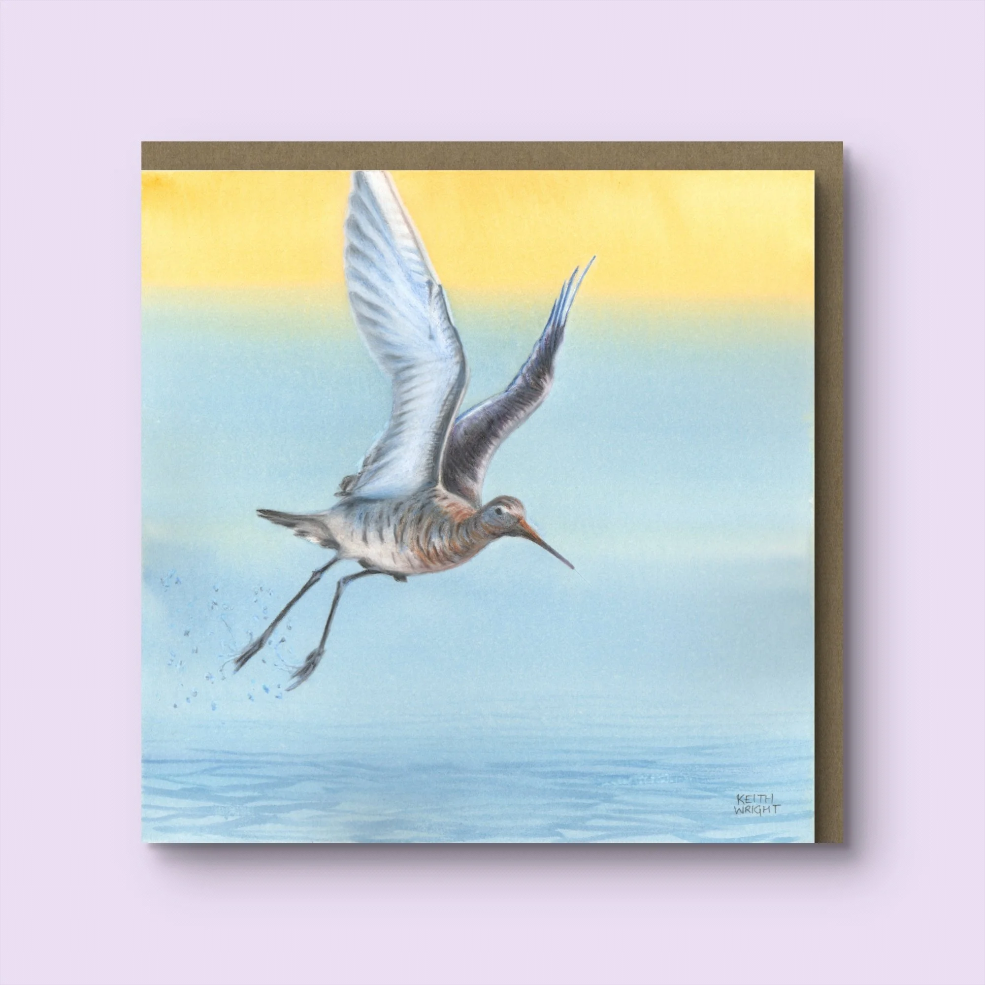 Black-tailed Godwit, Greetings Card