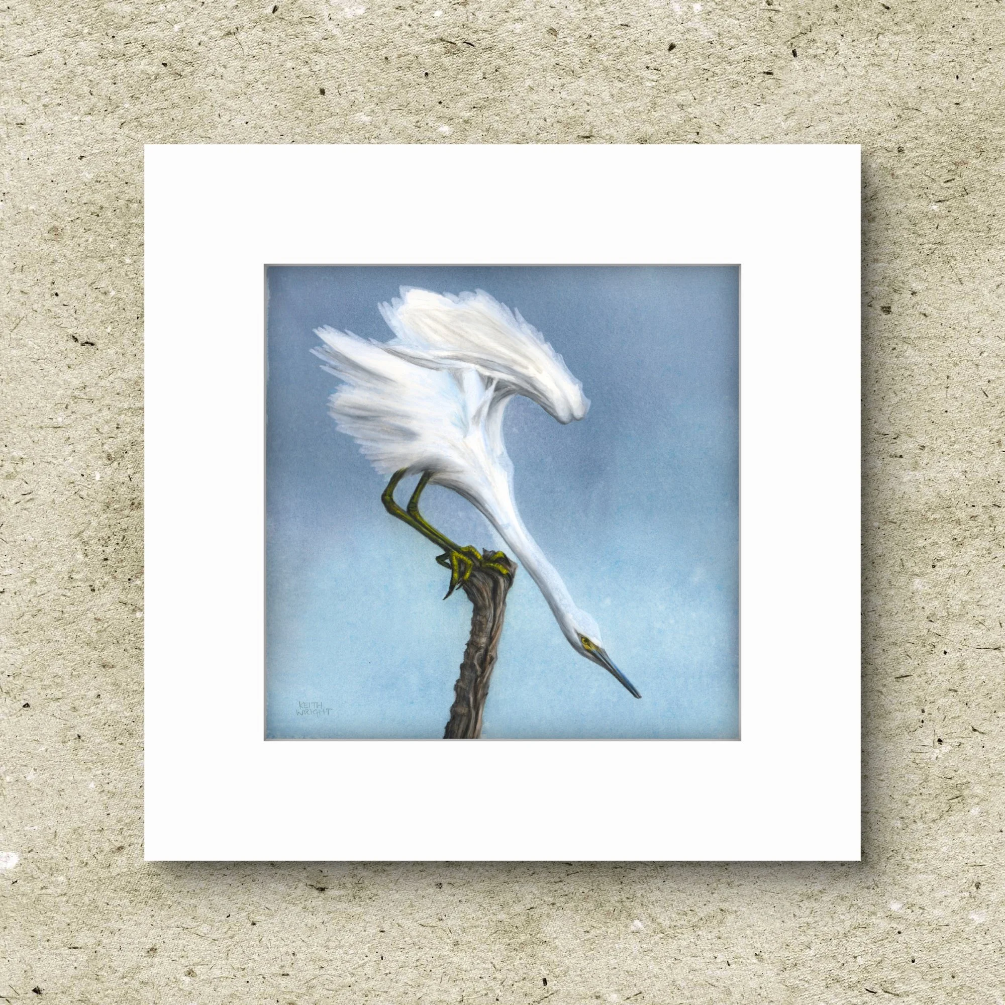 Little Egret Original.jpg